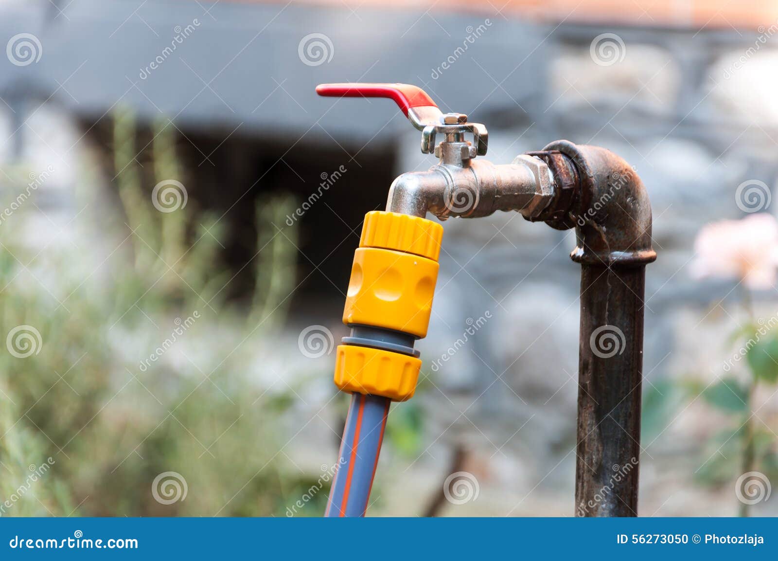 Old Fountain Water with a Hose for Watering Stock Photo Image of