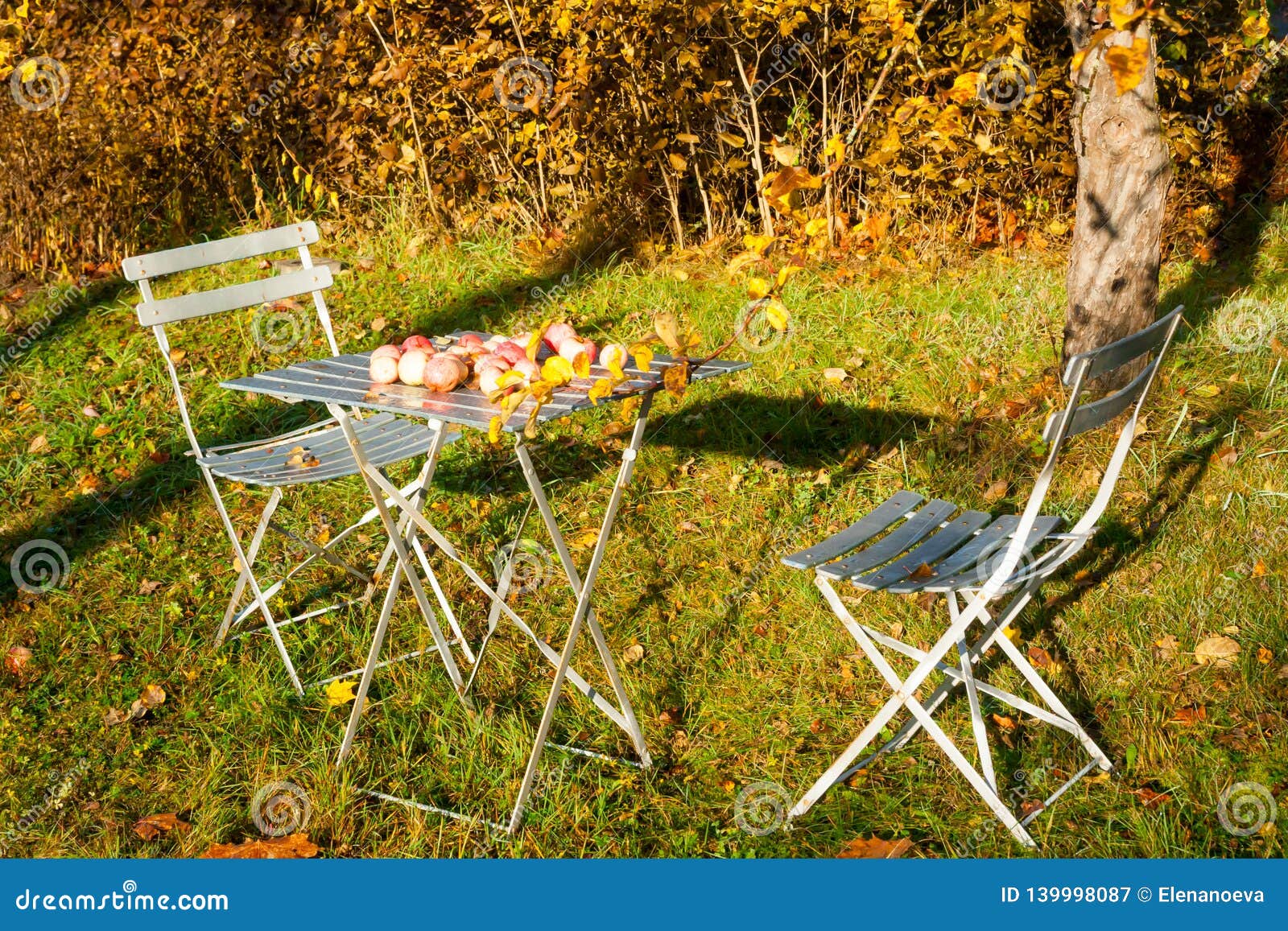 Old Garden Chairs and Table with Apples in Autumn Stock Image Image