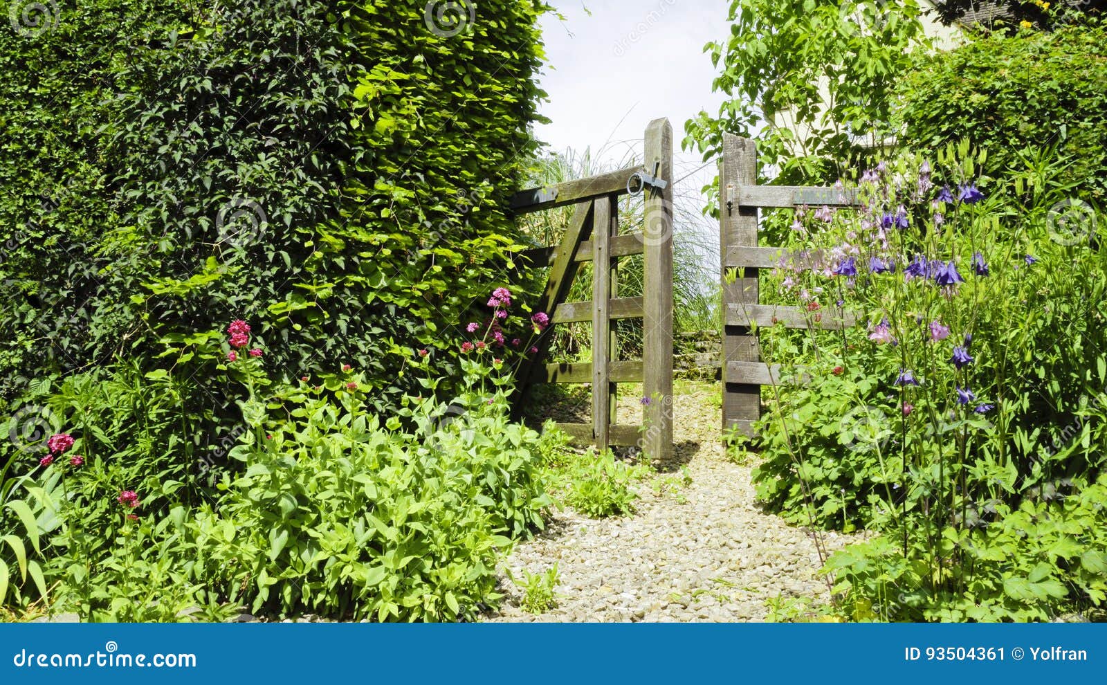 Old Gate Ajar In A Summer Country Garden Stock Image Image Of