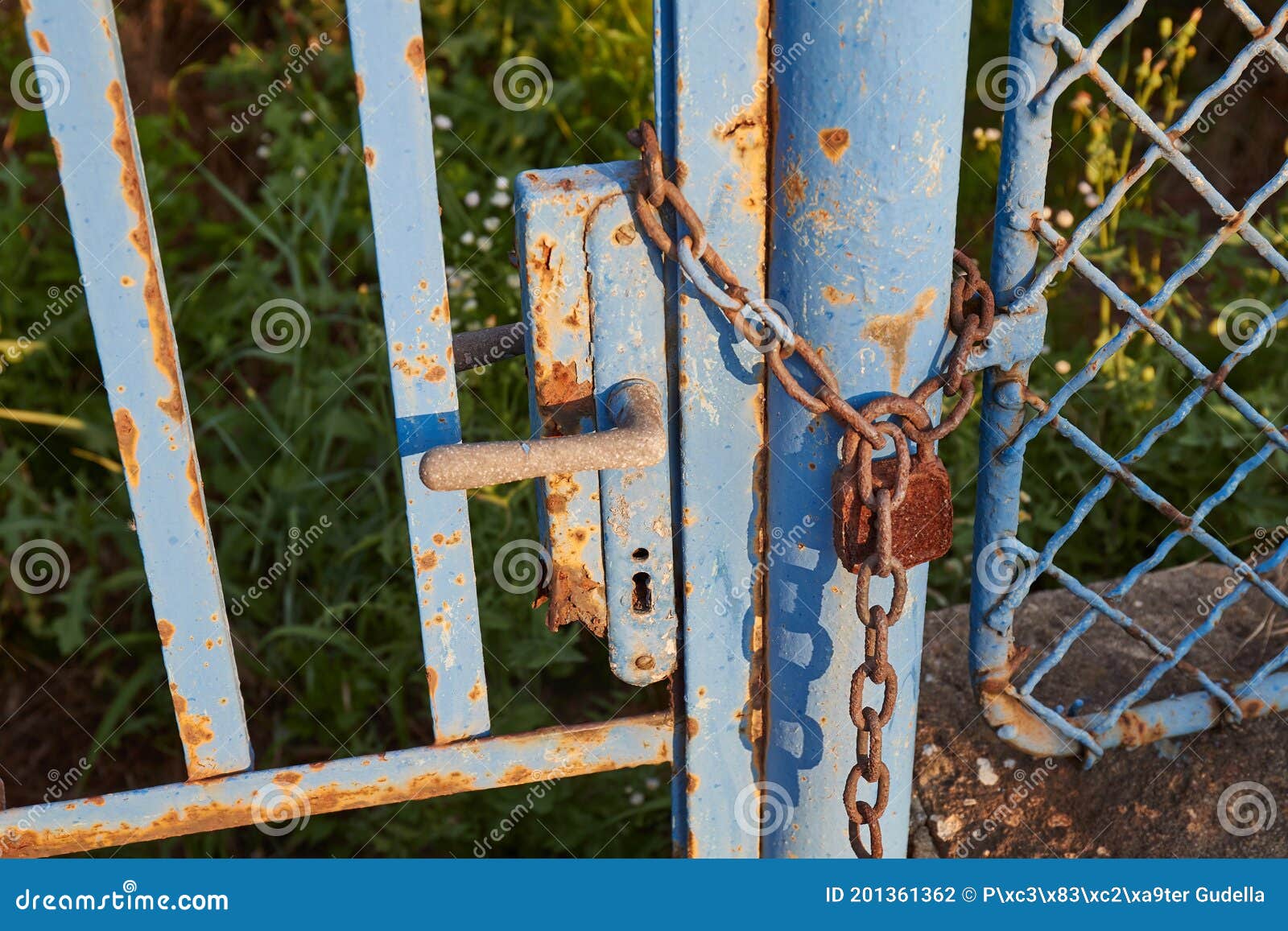 Old Gate with Padlock and Chain Stock Photo Image of corrosion