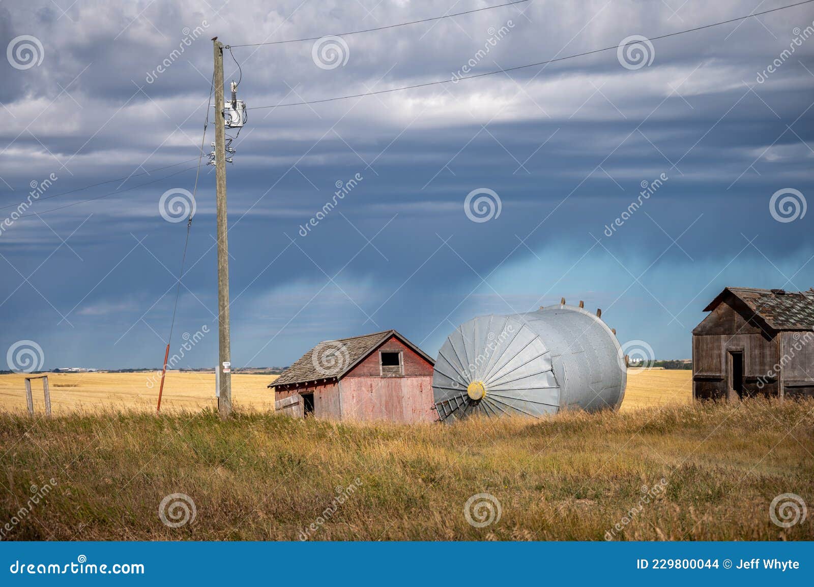 Old grain bins, Alberta stock photo. Image of farm, grain 229800044
