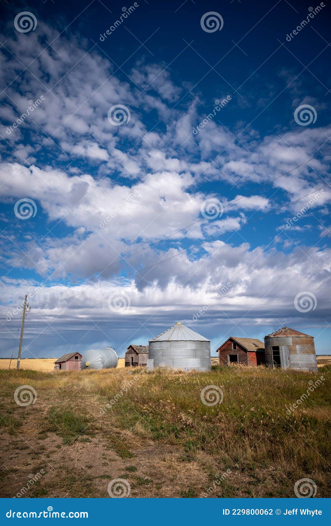 Old grain bins, Alberta stock photo. Image of grain 229800062
