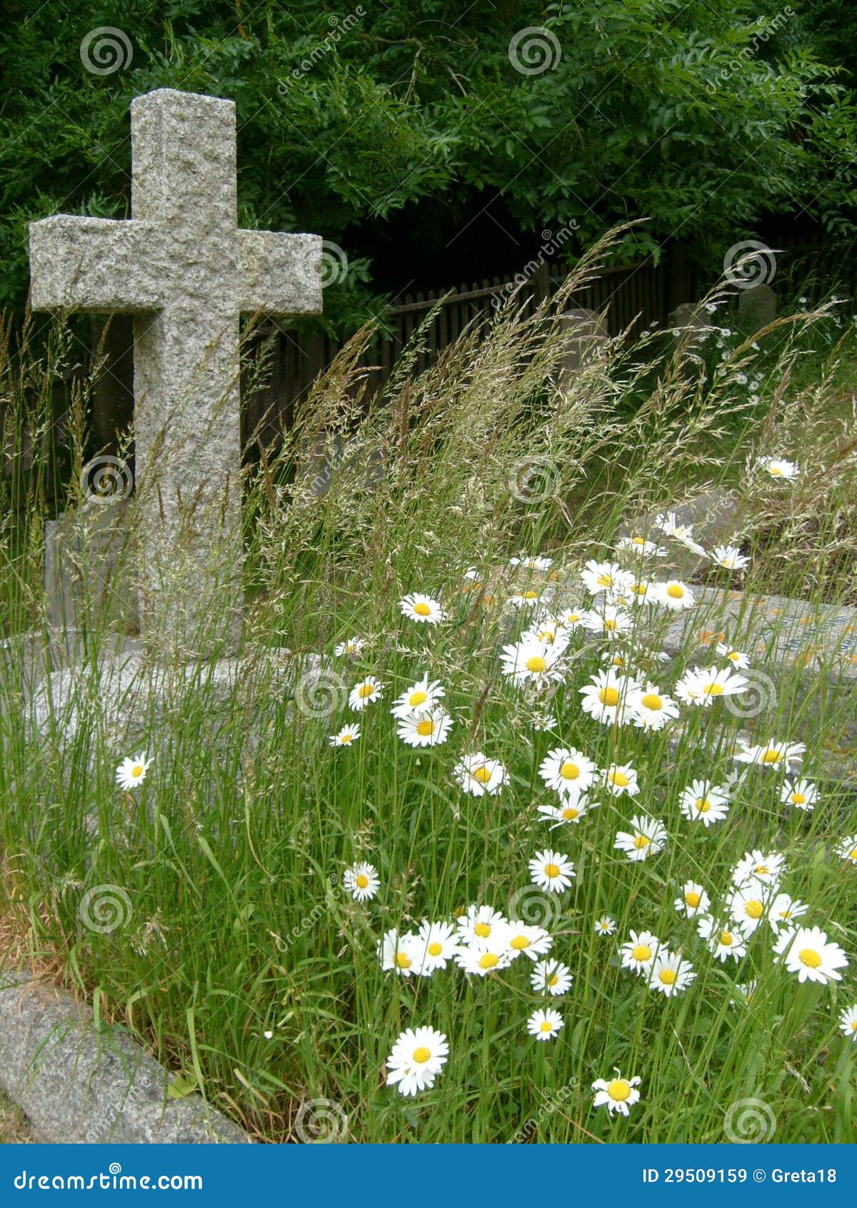 Old Grave with Wild Flowers and Cross Stock Image Image of harmony