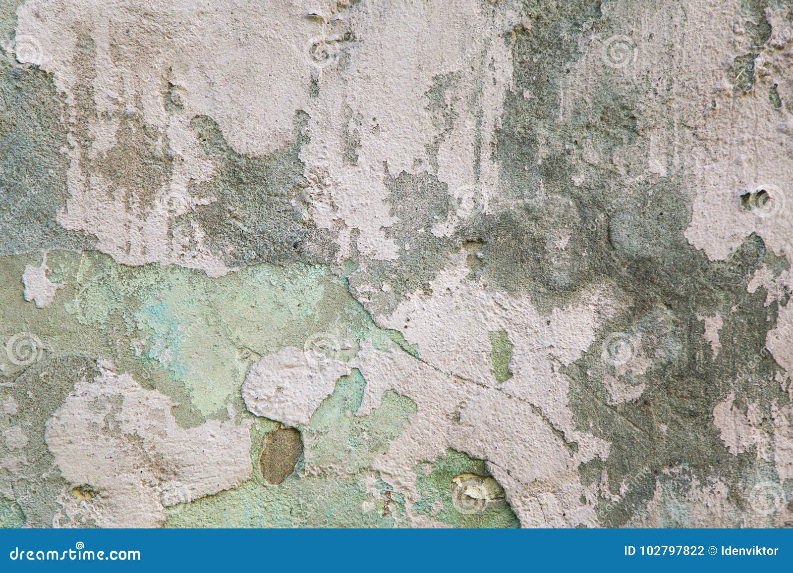 321,284 Grey Green Background Stock Photos - Free & Royalty-Free Stock Photos from Dreamstime 321,284 Grey Green Background Stock Photos - Free & Royalty-Free Stock Photos from Dreamstime