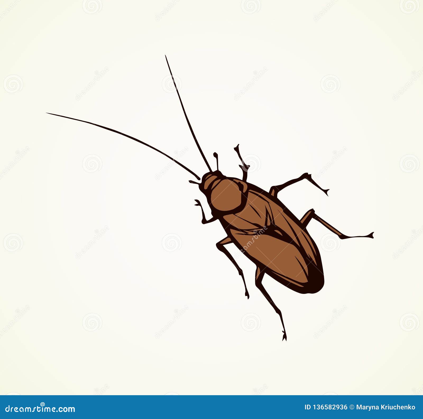 Cockroach. Vector drawing stock vector. Illustration of crawling ...