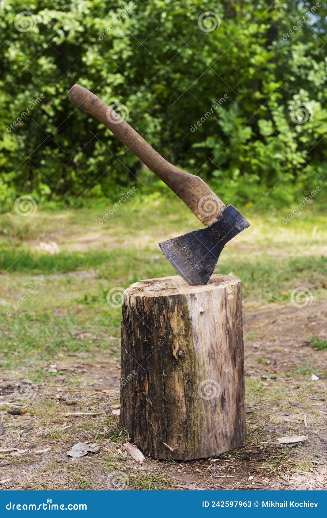 Old hatchet in a log stock image. Image of birch, hatchet 242597963