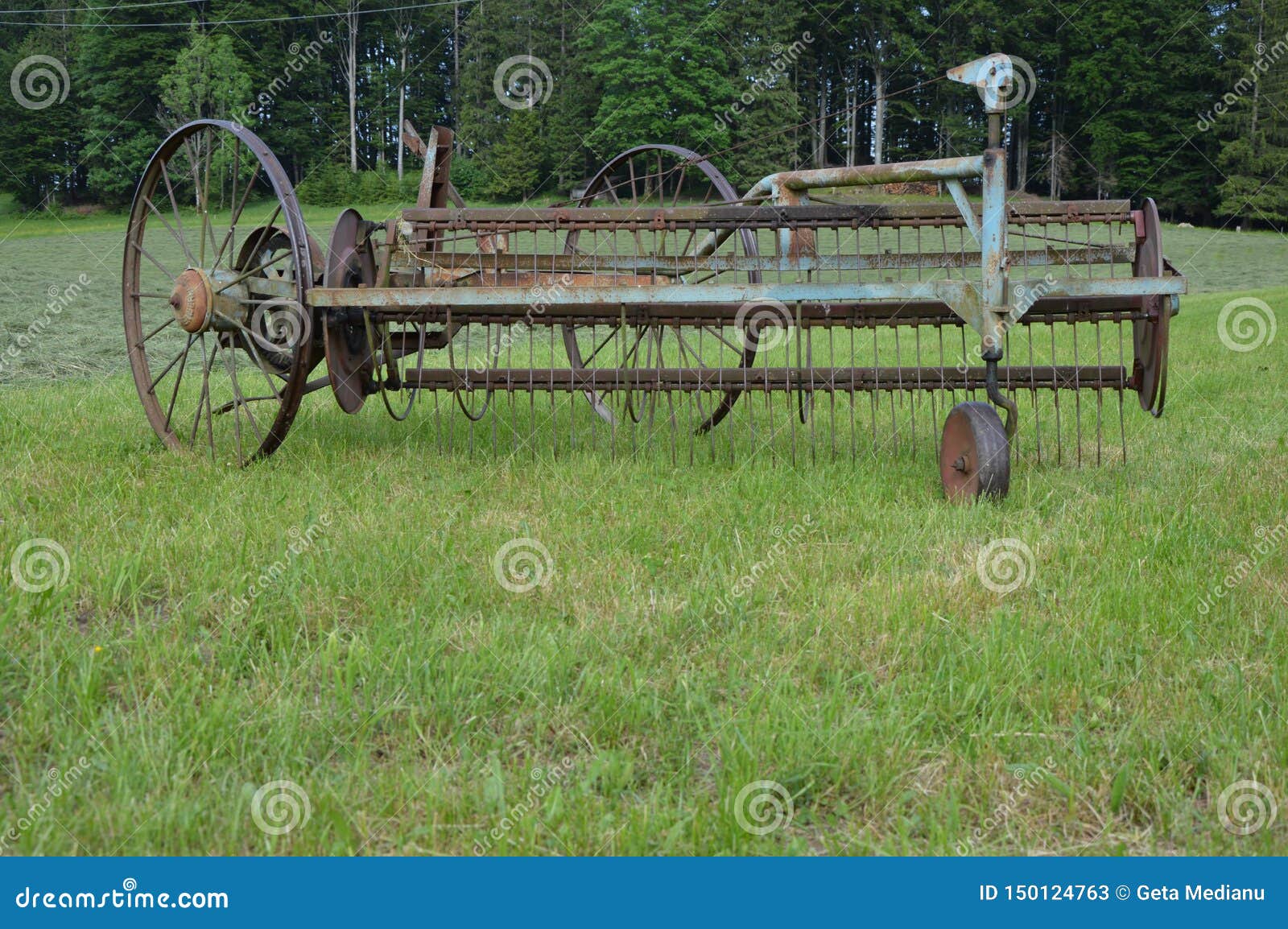Old Hay Tedder Still in Use Stock Image Image of used, rusty 150124763
