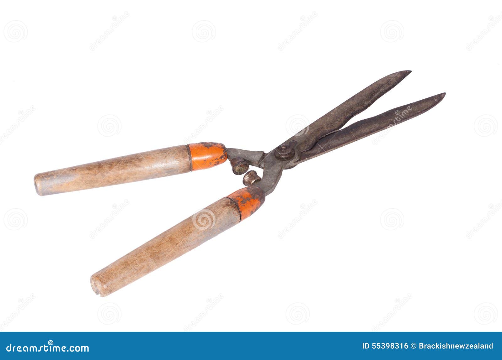 Old hedge clippers stock photo. Image of white, scissors 55398316