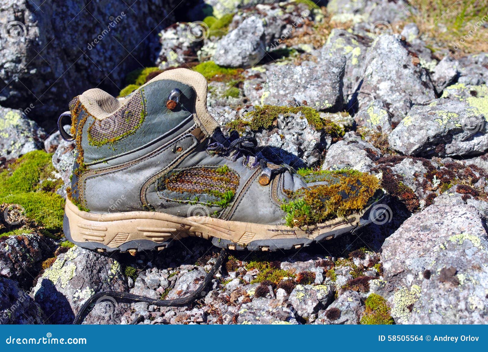 Old hiking boots stock photo. Image of tundra, mountains 58505564