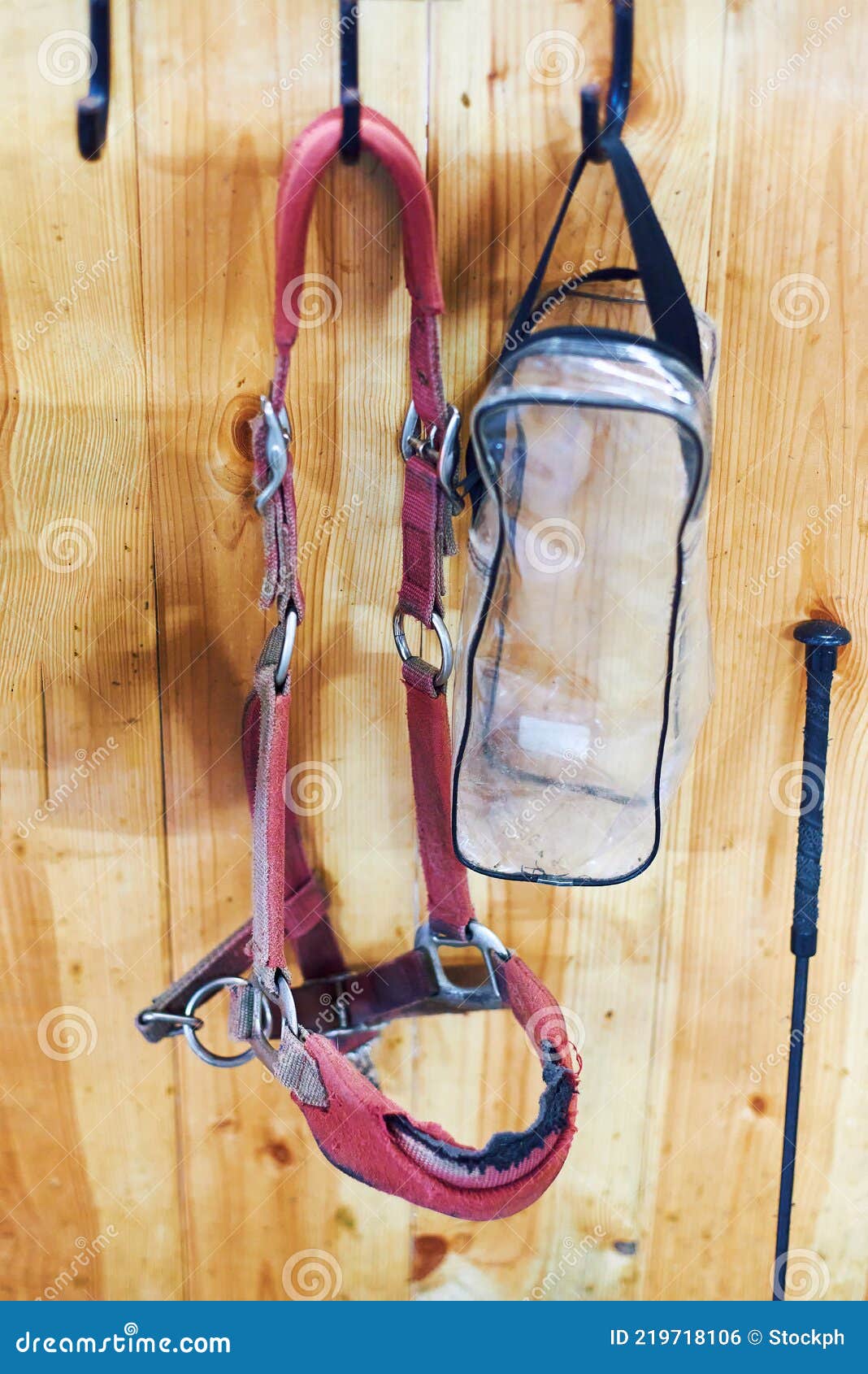 Old Horse Bridle Hanging on the Wall Stock Photo Image of horse, rein