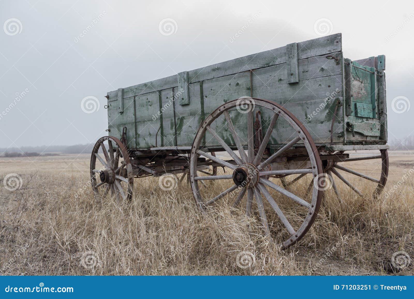 Old Horse Cart