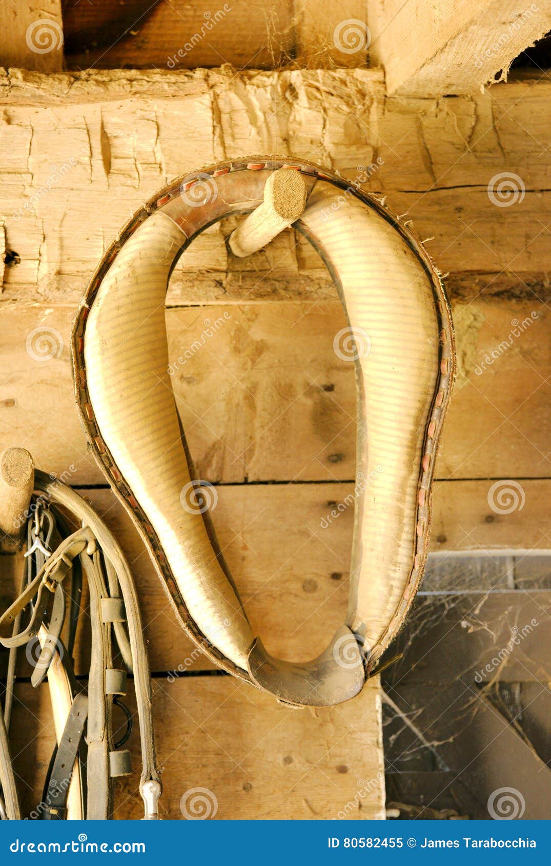 Old Horse Collars and Bridals on Farm Wall Stock Image Image of