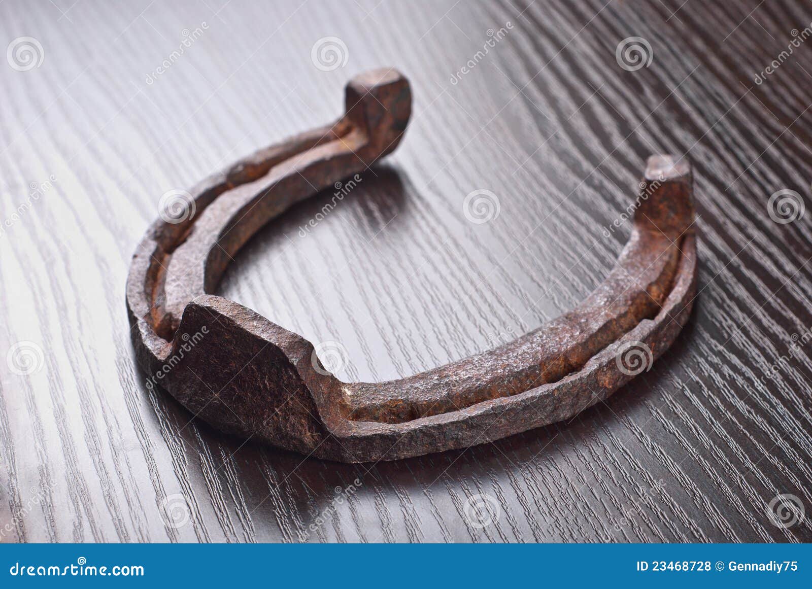 The Old Horseshoe Royalty Free Stock Photos Image 23468728