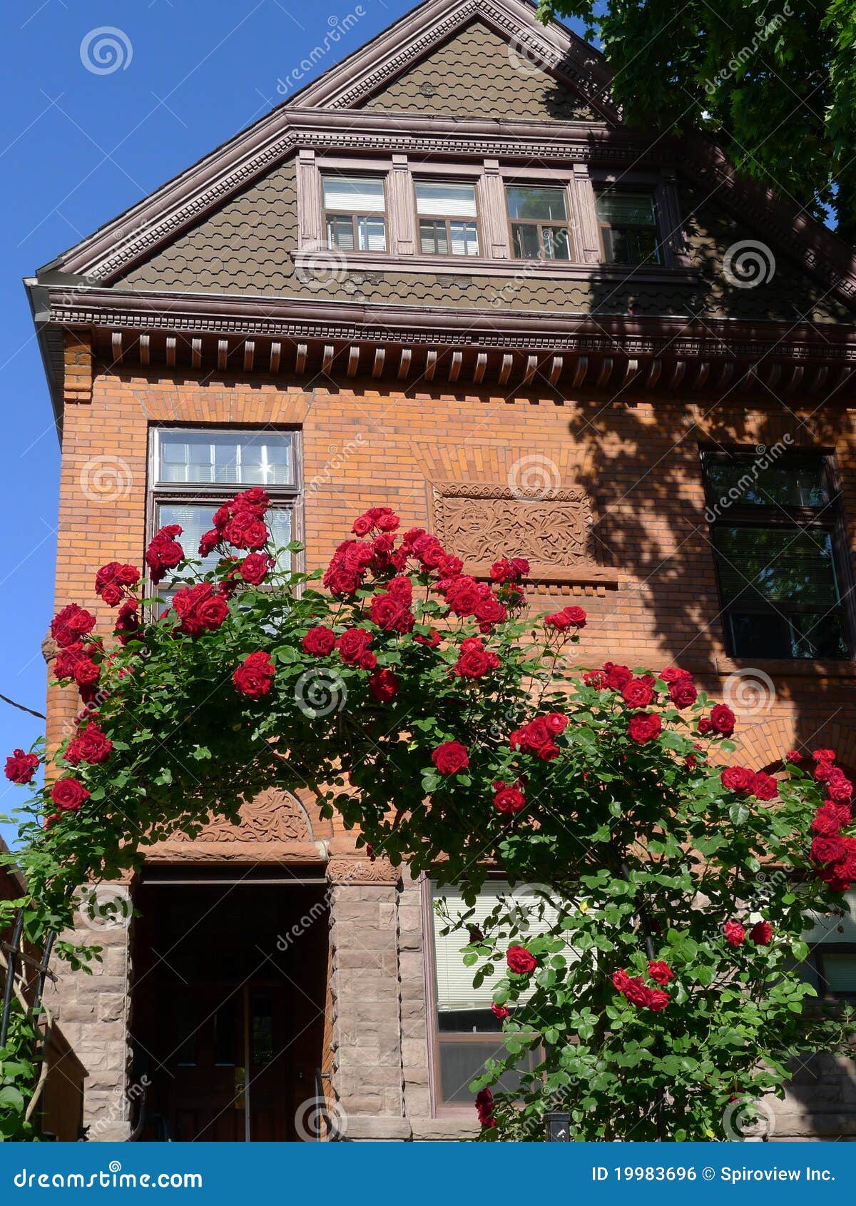 Old house with rose arbor stock photo. Image of yard 19983696