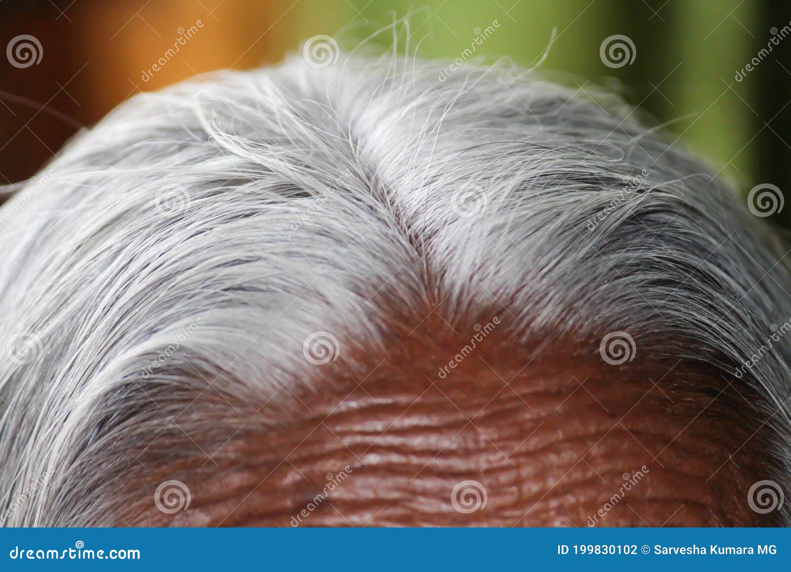 An Old Indian Lady with White Hair in the Head. Close Up of Toned Skin Long Gray Hair Makes the Look Vintage Stock Photo - Image of famous, ultimate: 199830102 An Old Indian Lady with White Hair in the Head. Close Up of Toned Skin Long Gray Hair Makes the Look Vintage Stock Photo - Image of famous, ultimate: 199830102