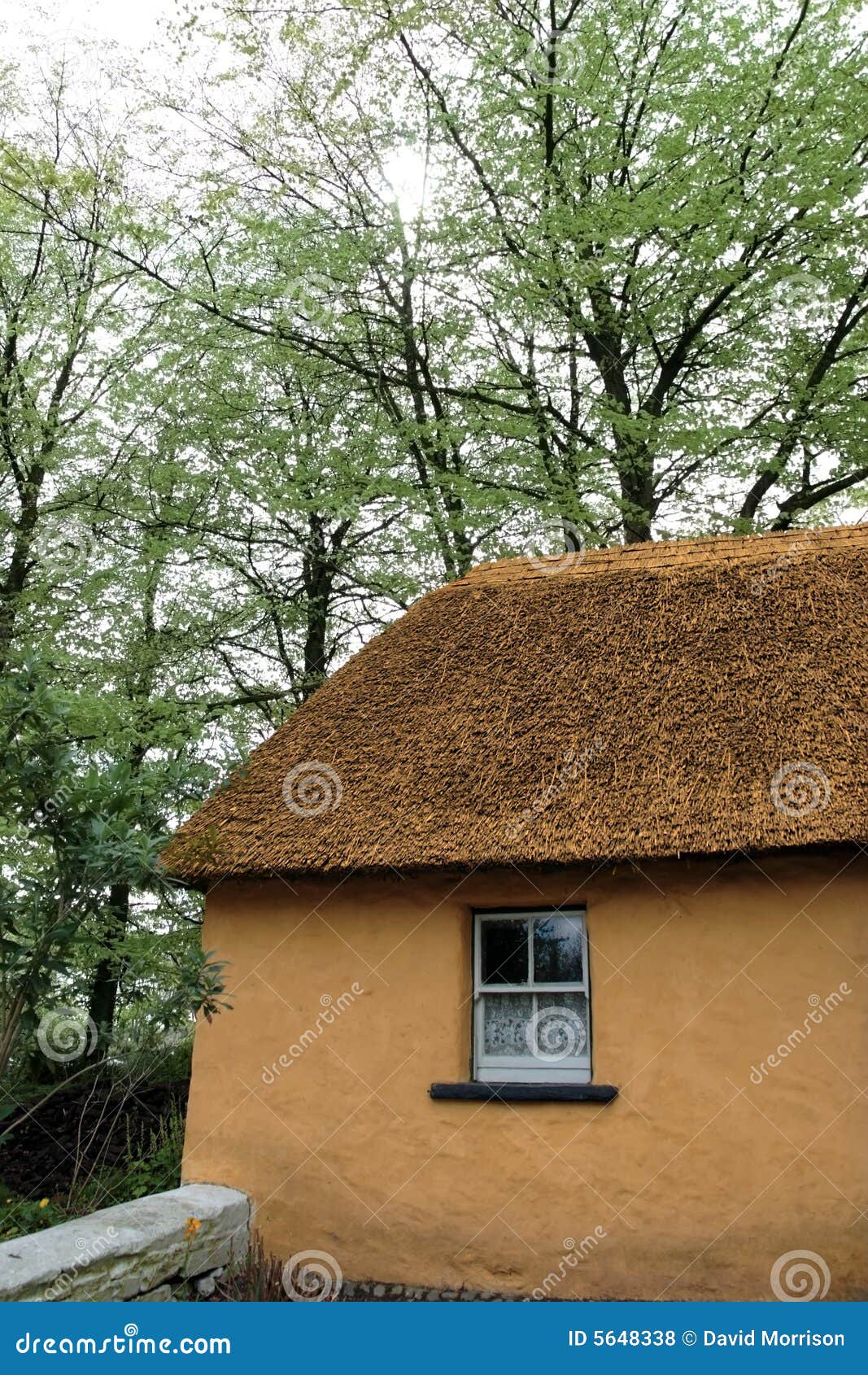 Old irish cottage 2 stock photo. Image of house, thatch 5648338