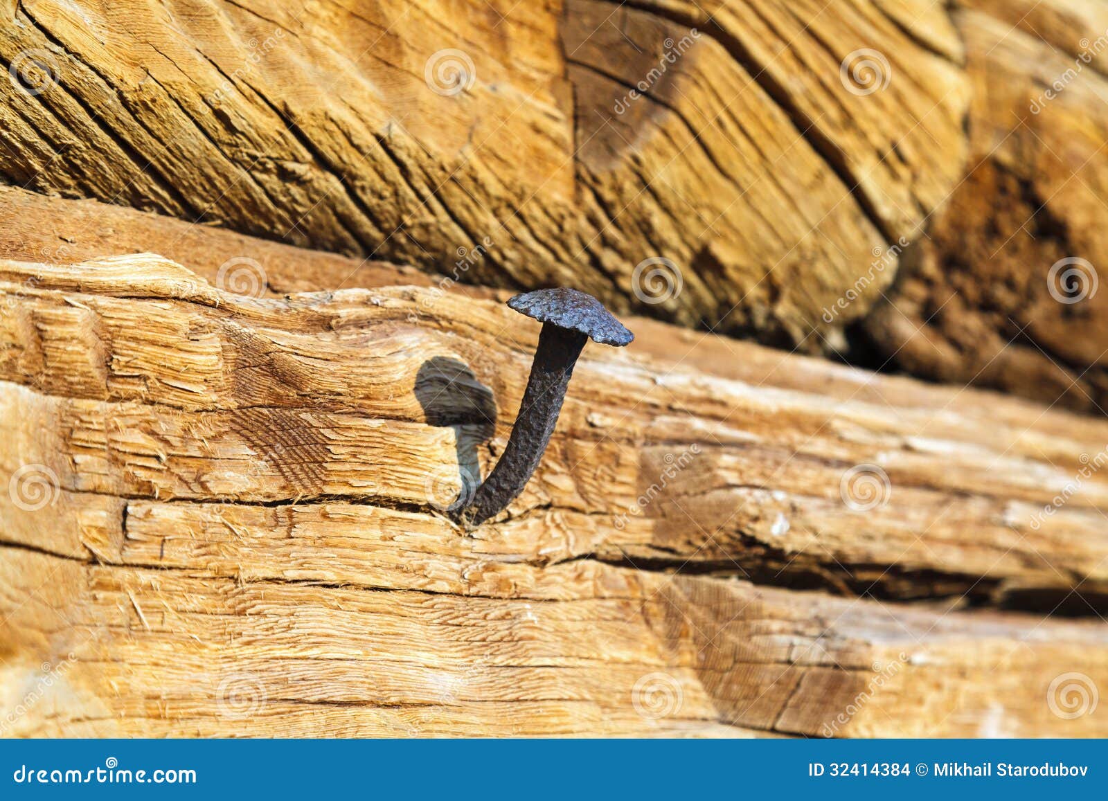 Log wallpaper with the texture of logs