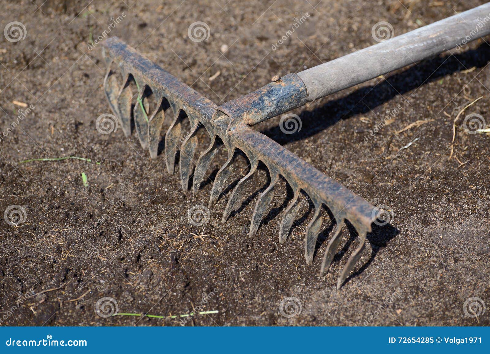 Old iron rake stock image. Image of work, horizontal - 72654285