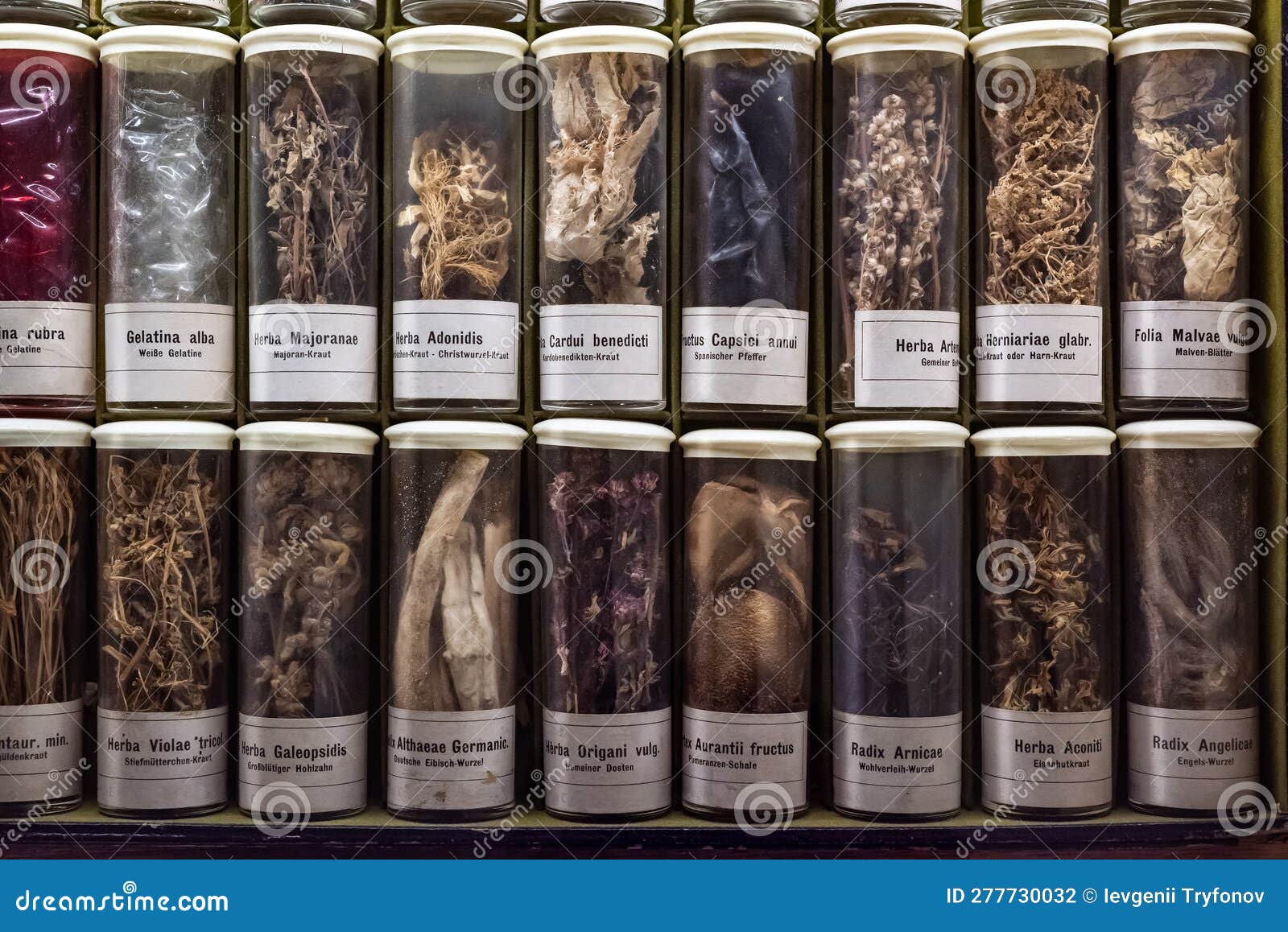 Apothecary Images  Browse 330482 Stock Photos Vectors and Video  Adobe  Stock