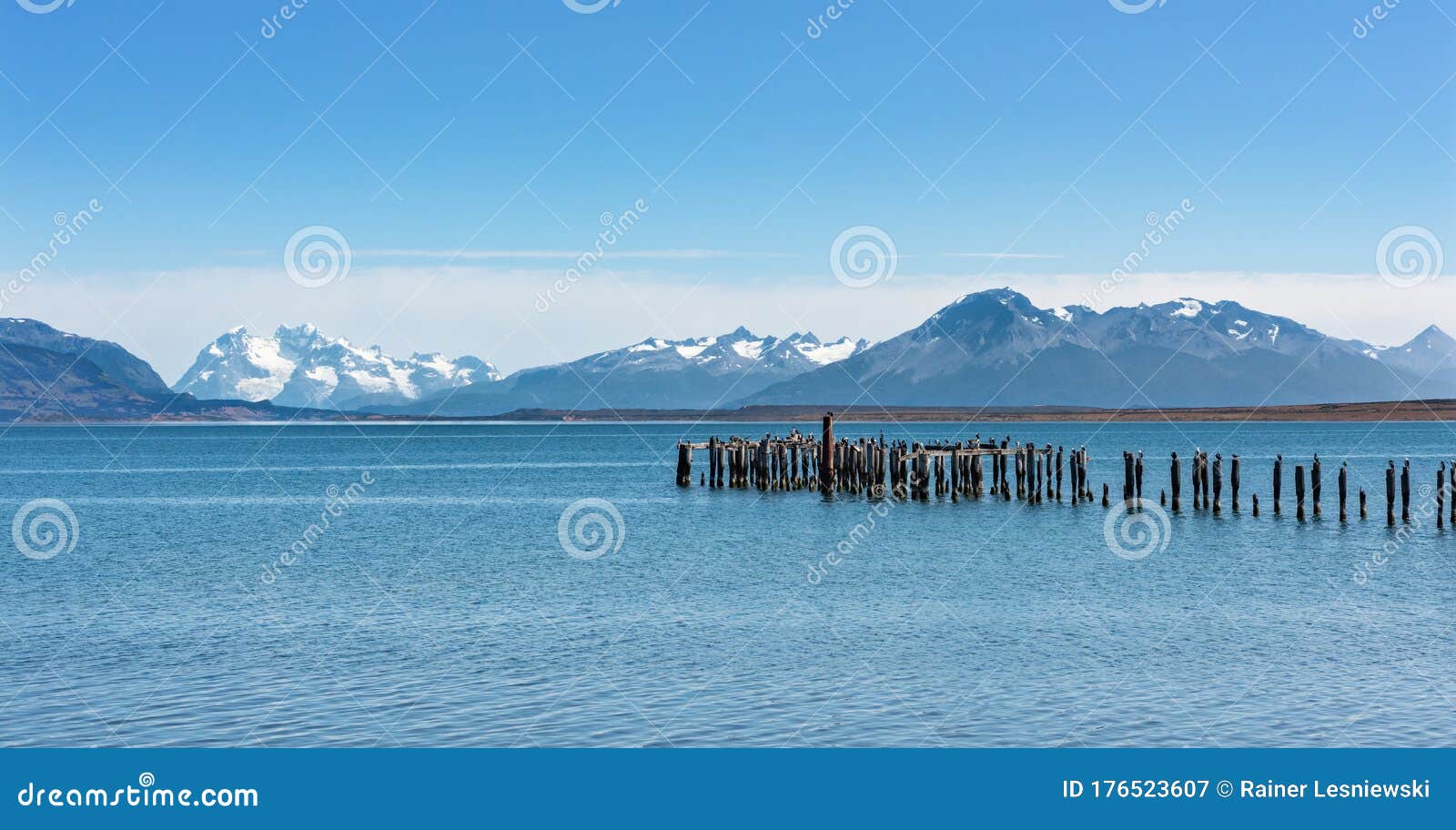 old jetty with king cormorants at ultima esperanza fjord near puerto natales, patagonia, chile