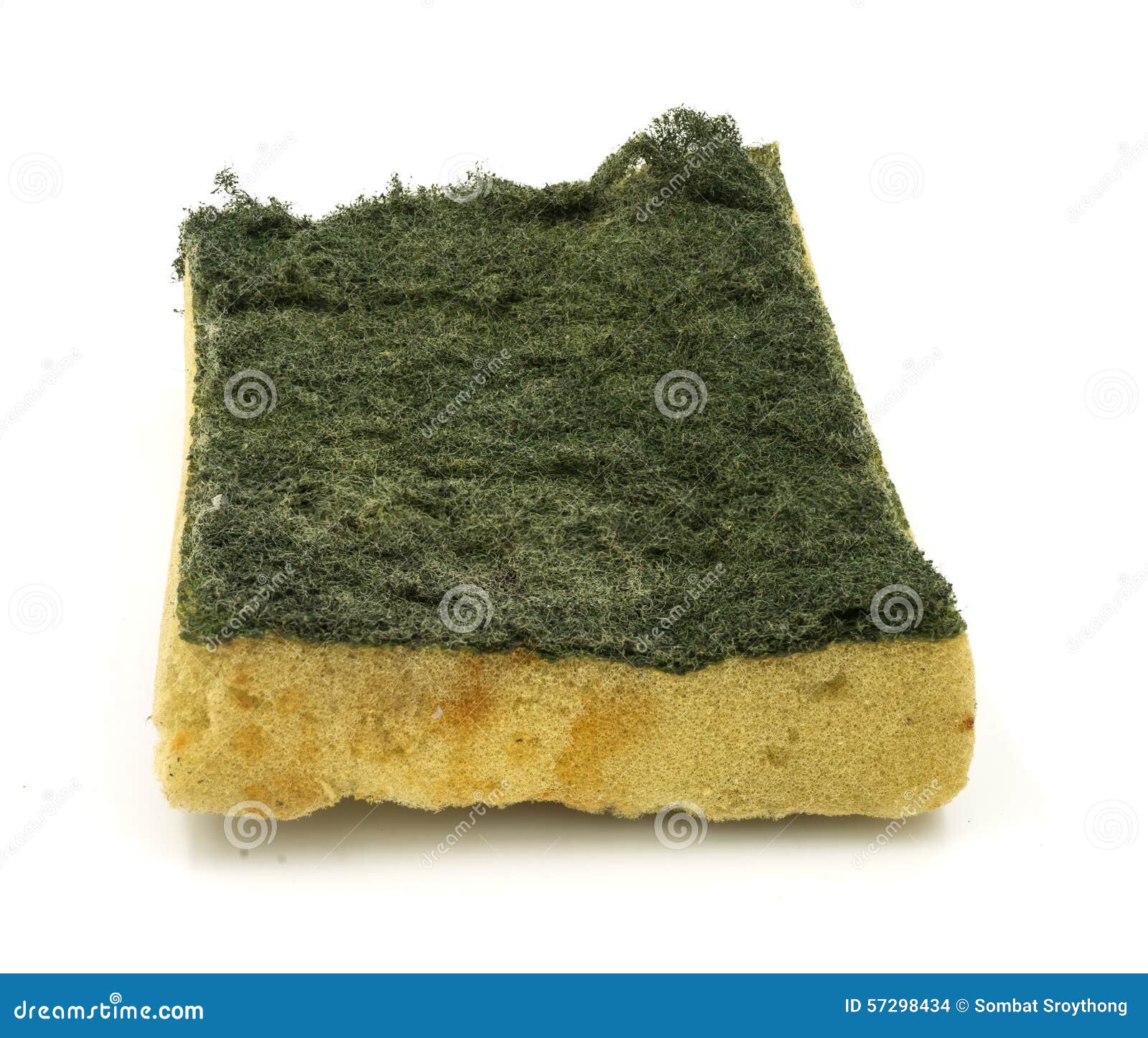 Old Kitchen Sponge on White Background. Stock Photo Image of kitchen