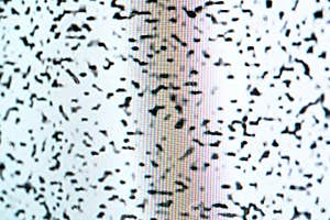 Old LCD Color TV Screen Black And White Noise Grain Up Close Detail Old LCD Color TV Screen Black And White Noise Grain Up Close Detail