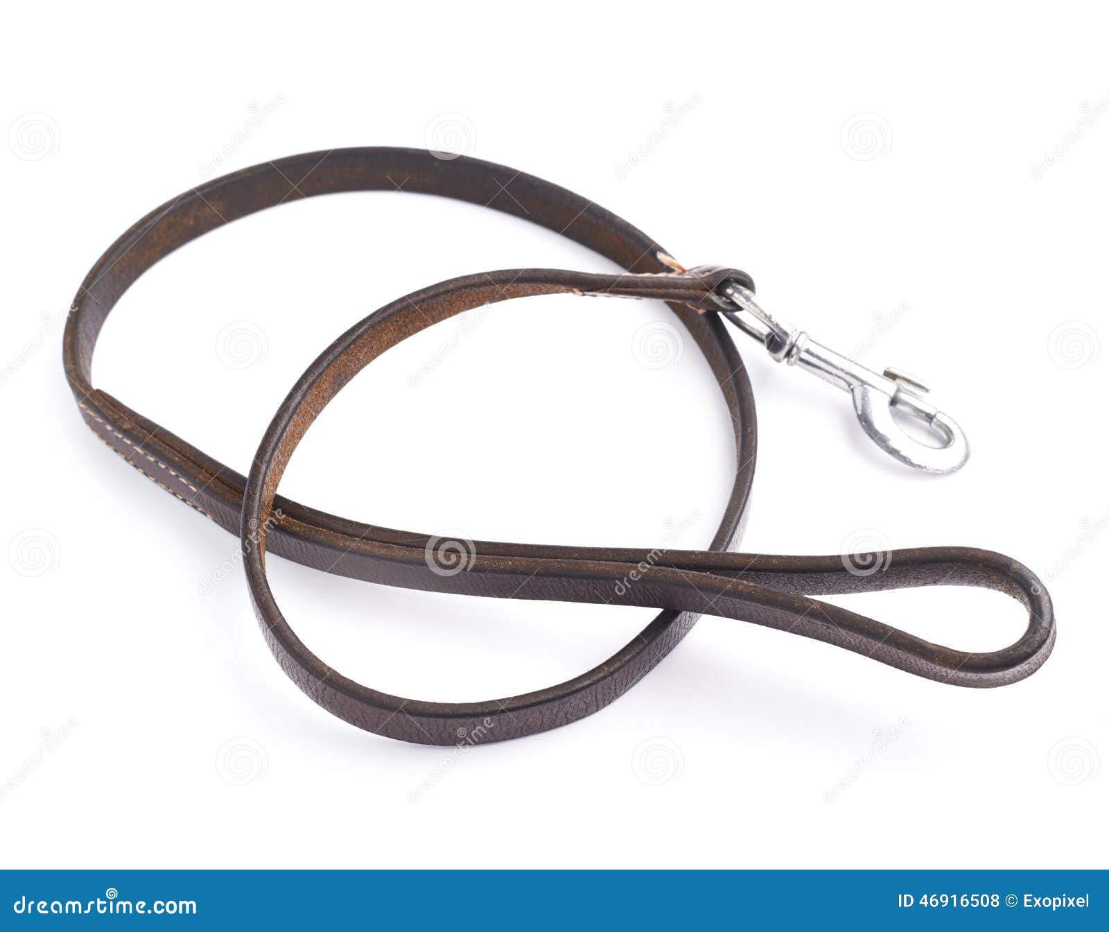 Old Leather Dog Leash Composition Stock Photo - Image of harness ...