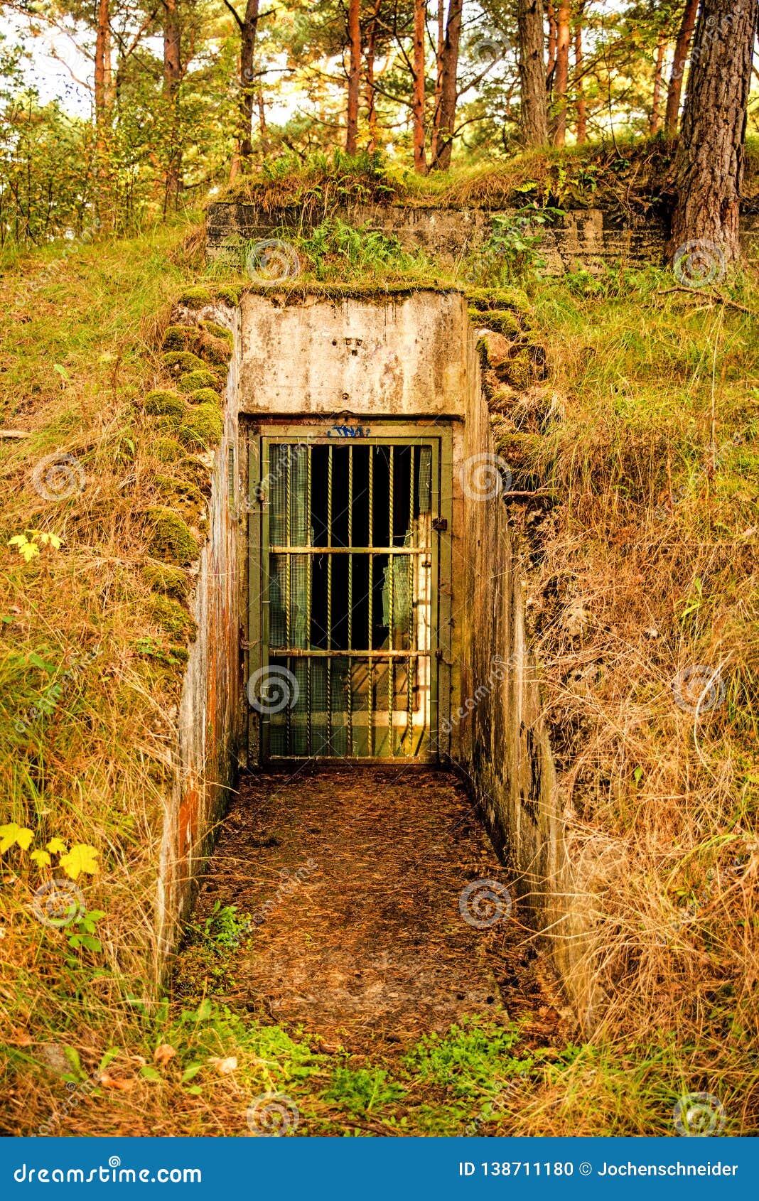Old Leaved Bunker of the Russian Army Stock Photo Image of defense