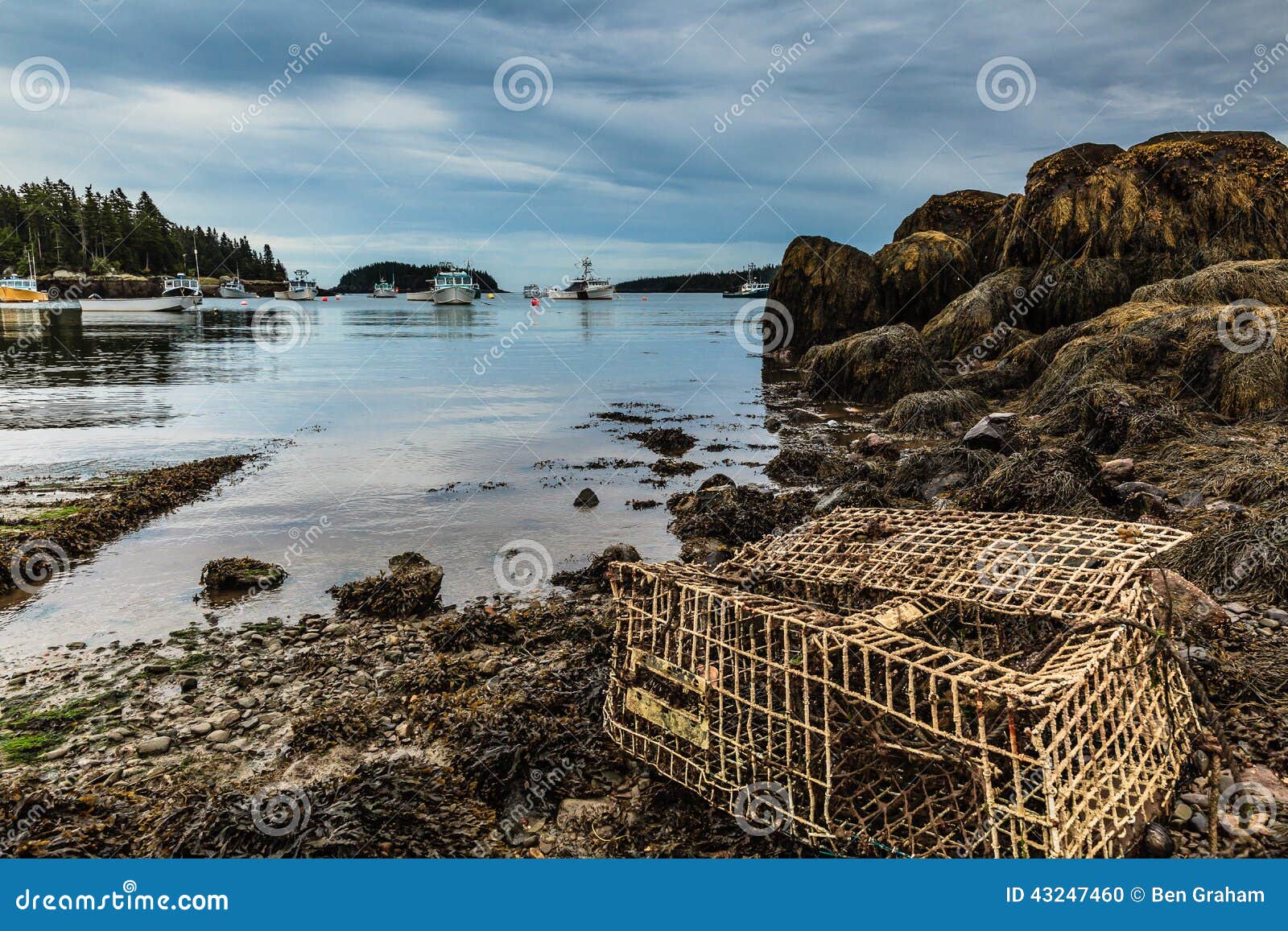 Old Lobster Trap stock photo. Image of northeast, rocky - 43247460