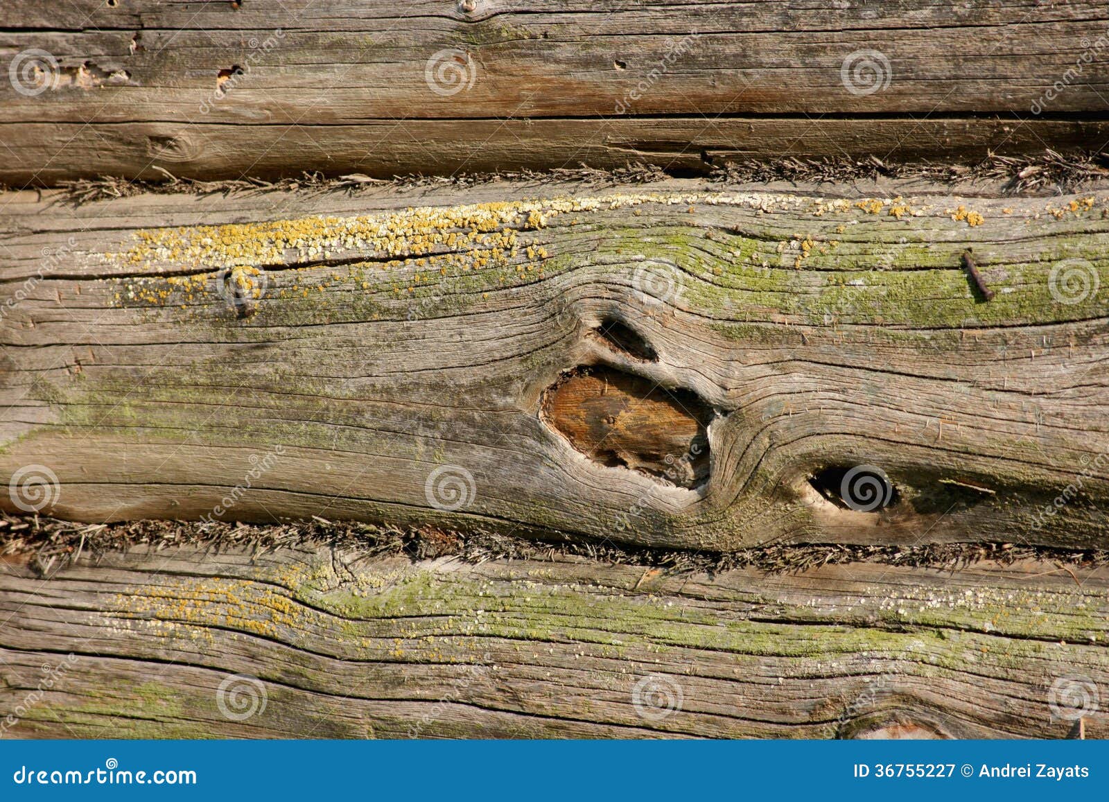 Old lumber stock image. Image of moss, wall, nails, knot 36755227