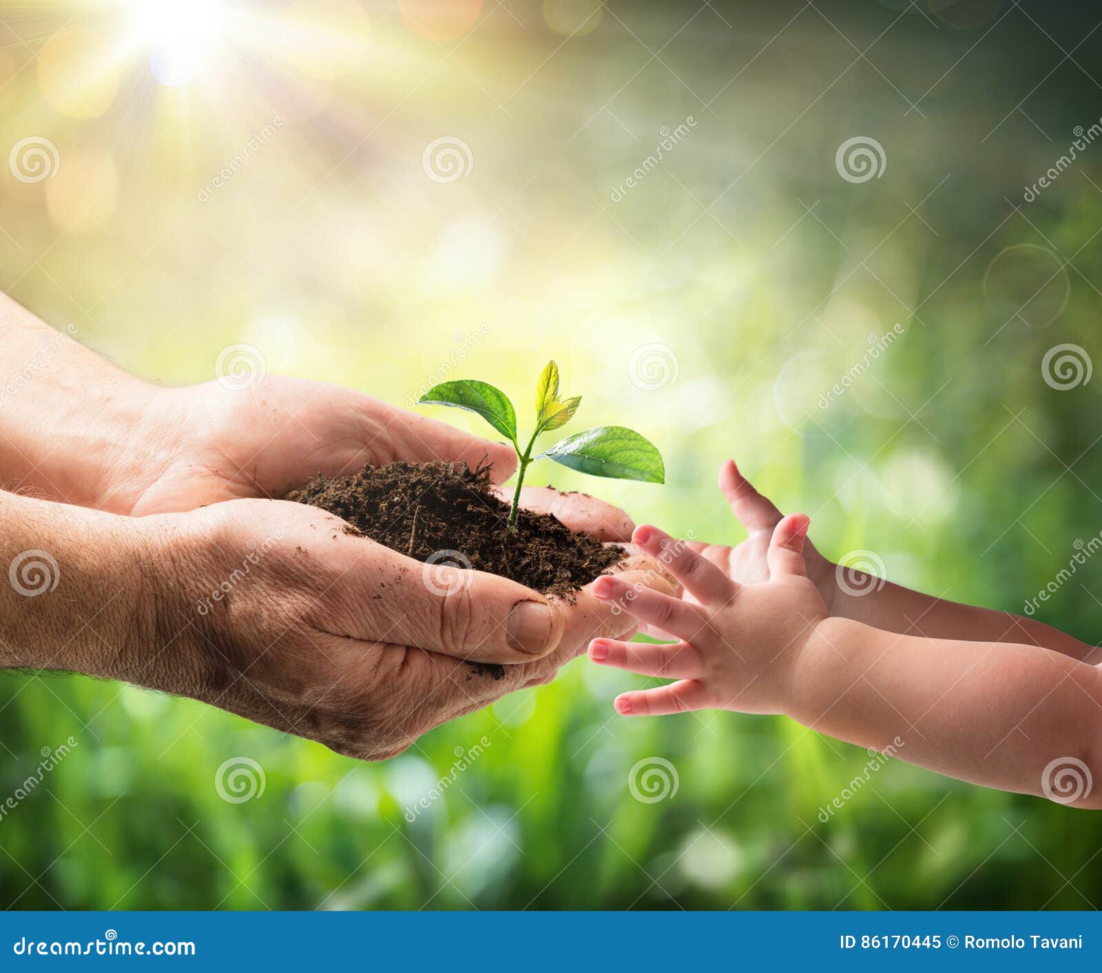 old man giving young plant to a child - environment protection