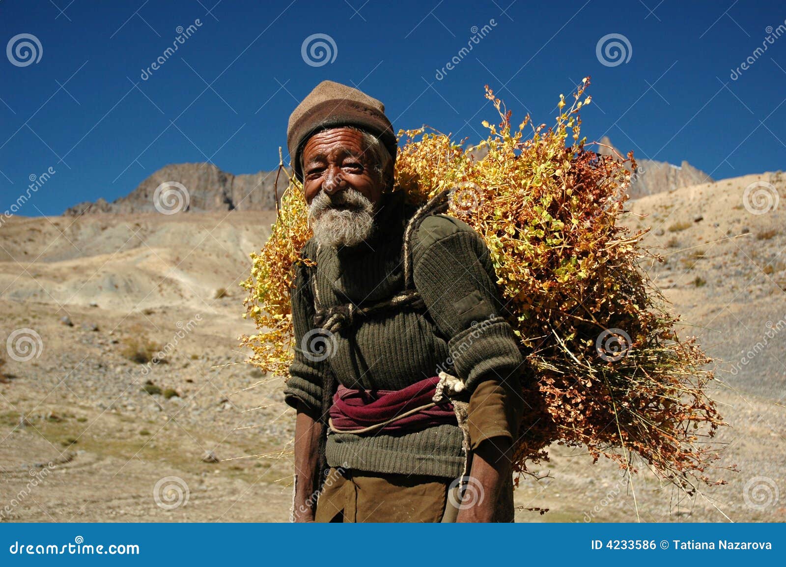 The Old Man In The Himalayas Editorial Photo Image 4233586