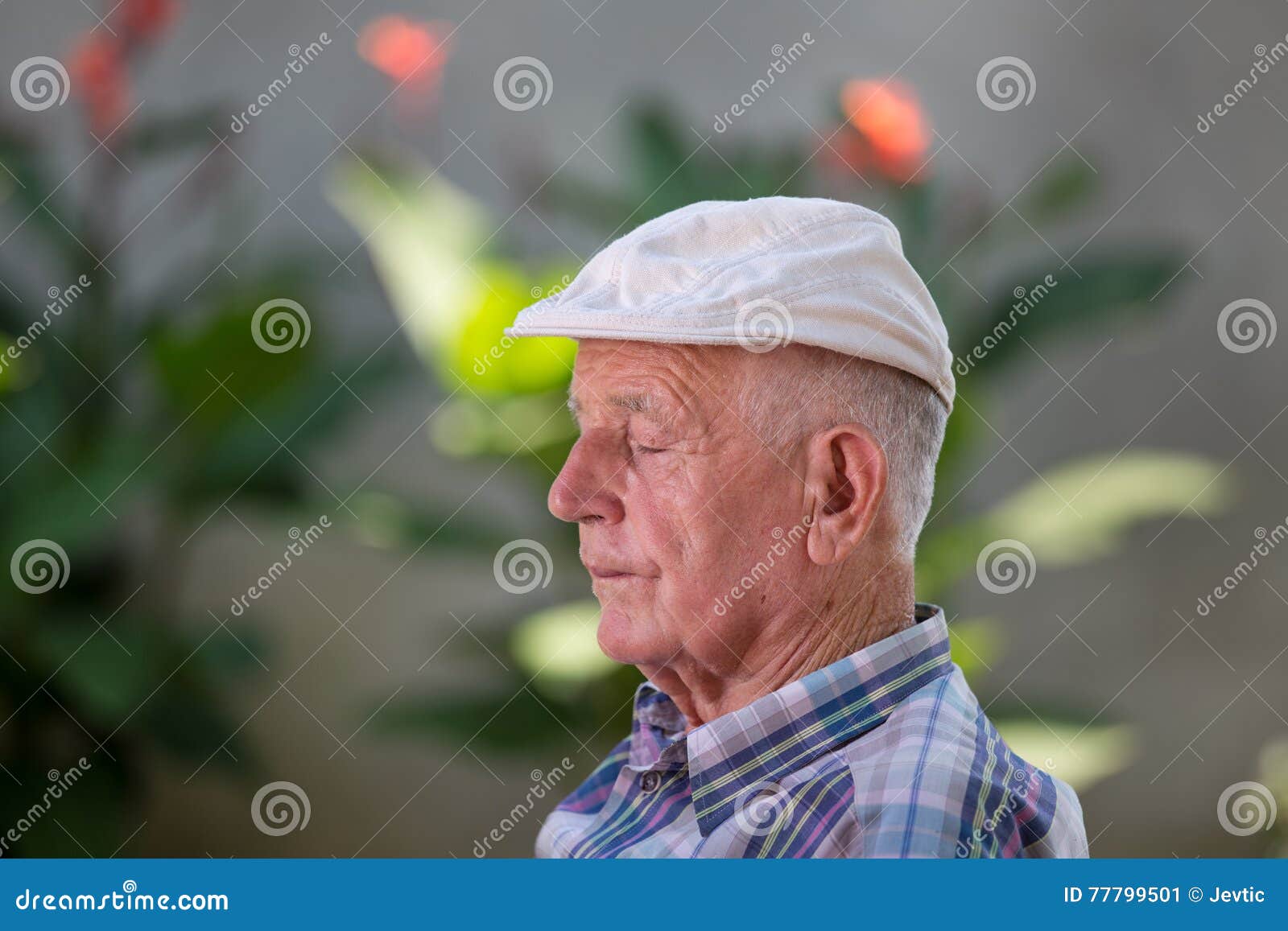 Old man napping stock image. Image of pensioner, male - 77799501