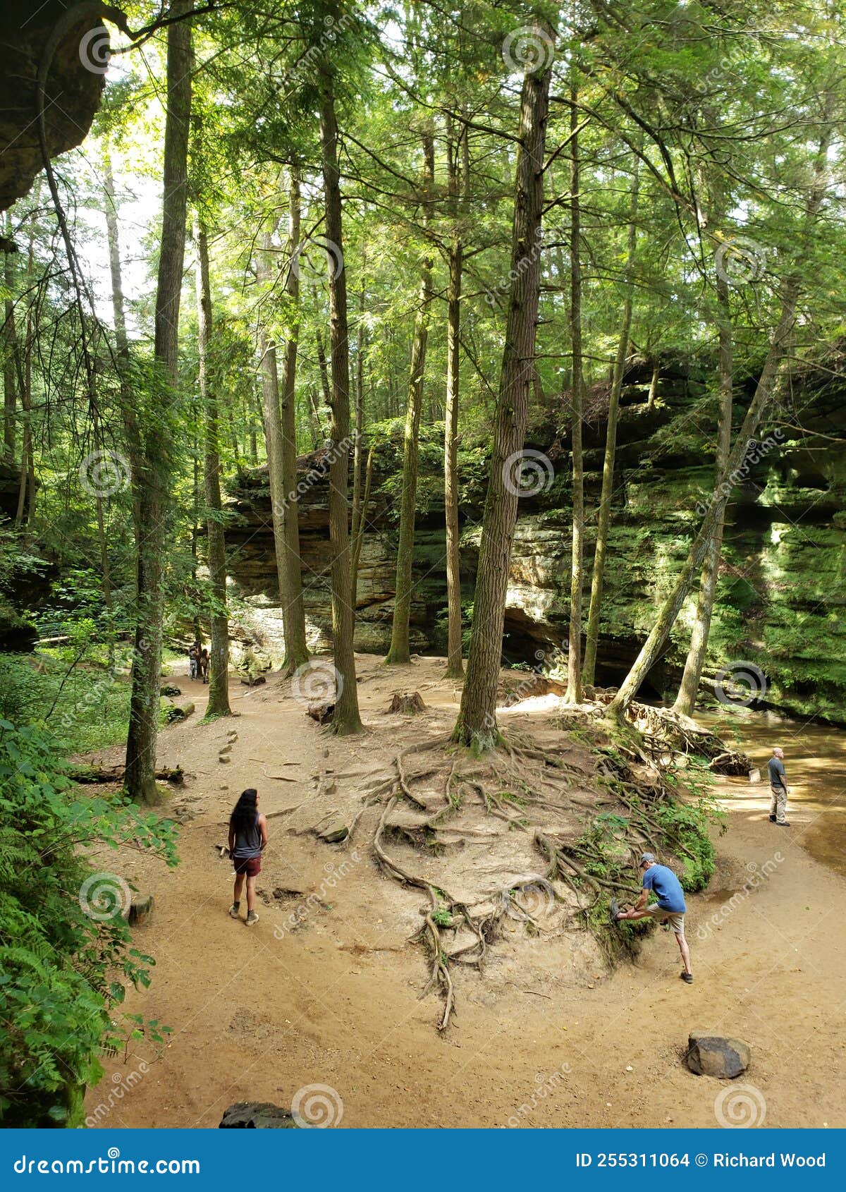Old Man S Cave in Summer, Hocking Hills State Park, Ohio Editorial