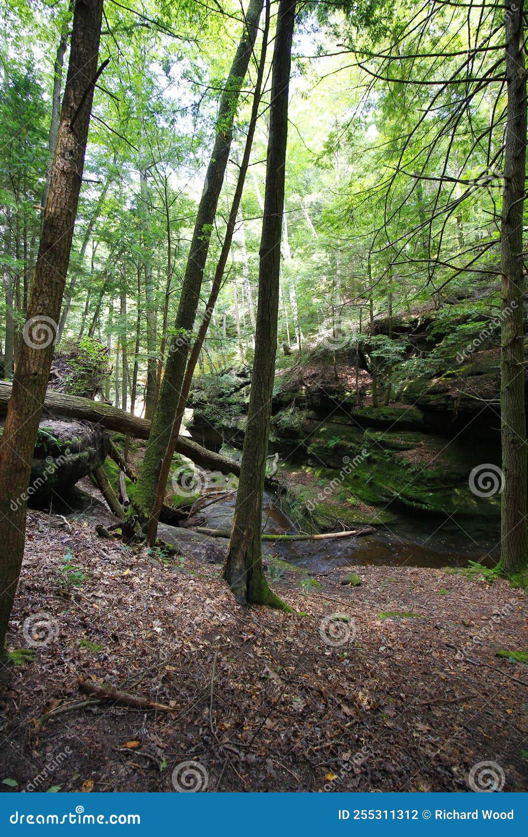 Old Man S Cave in Summer, Hocking Hills State Park, Ohio Stock Photo