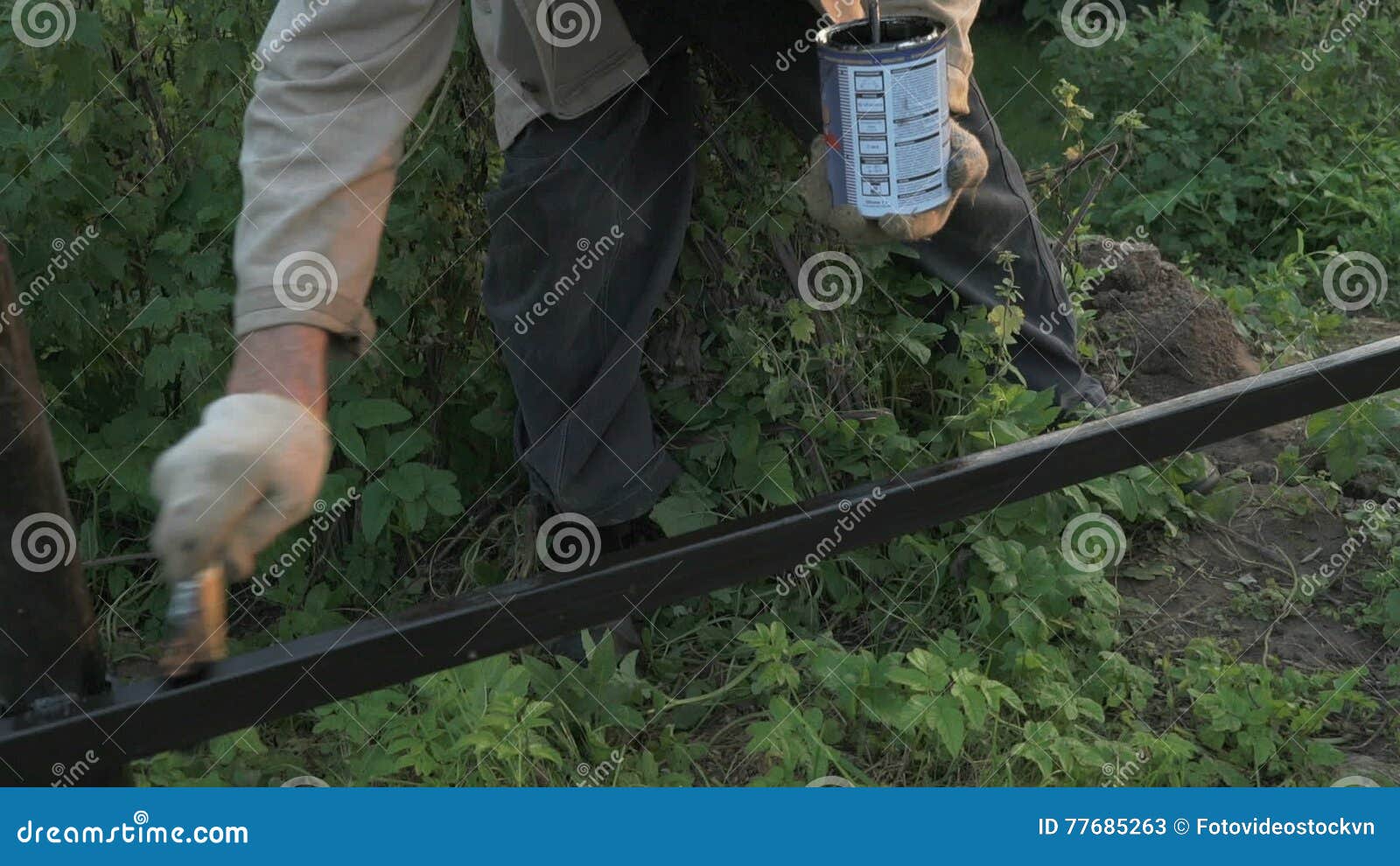 Old Man 70s Paints the Iron Fence Using a Black Stock Video Video of