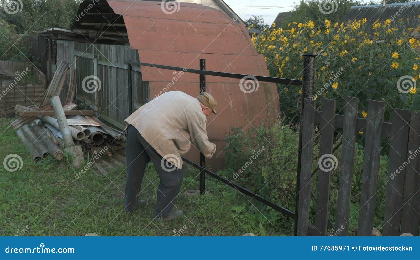 Old Man 70s Paints the Iron Fence Using a Black Stock Video Video of