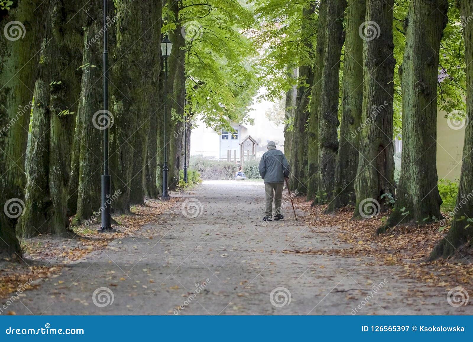 old man walking alone in the park.