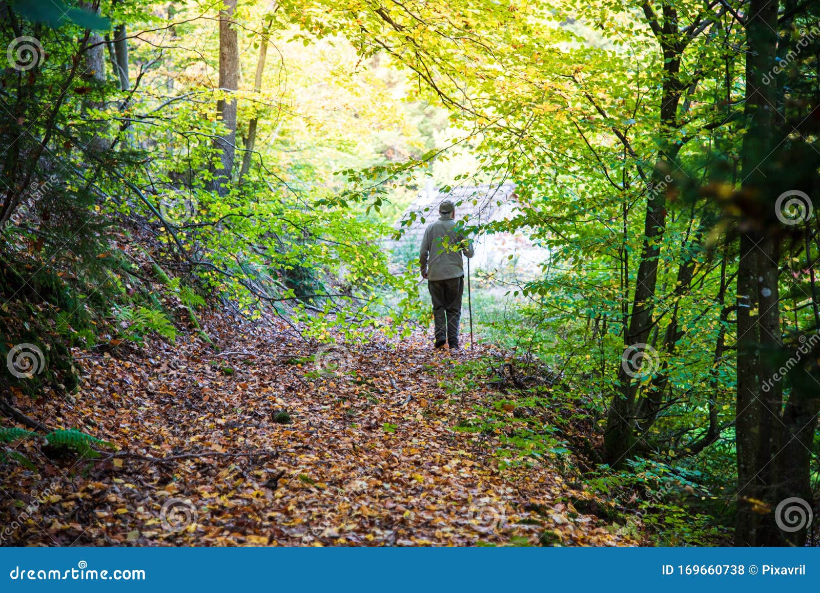 Old Man Walking Alone