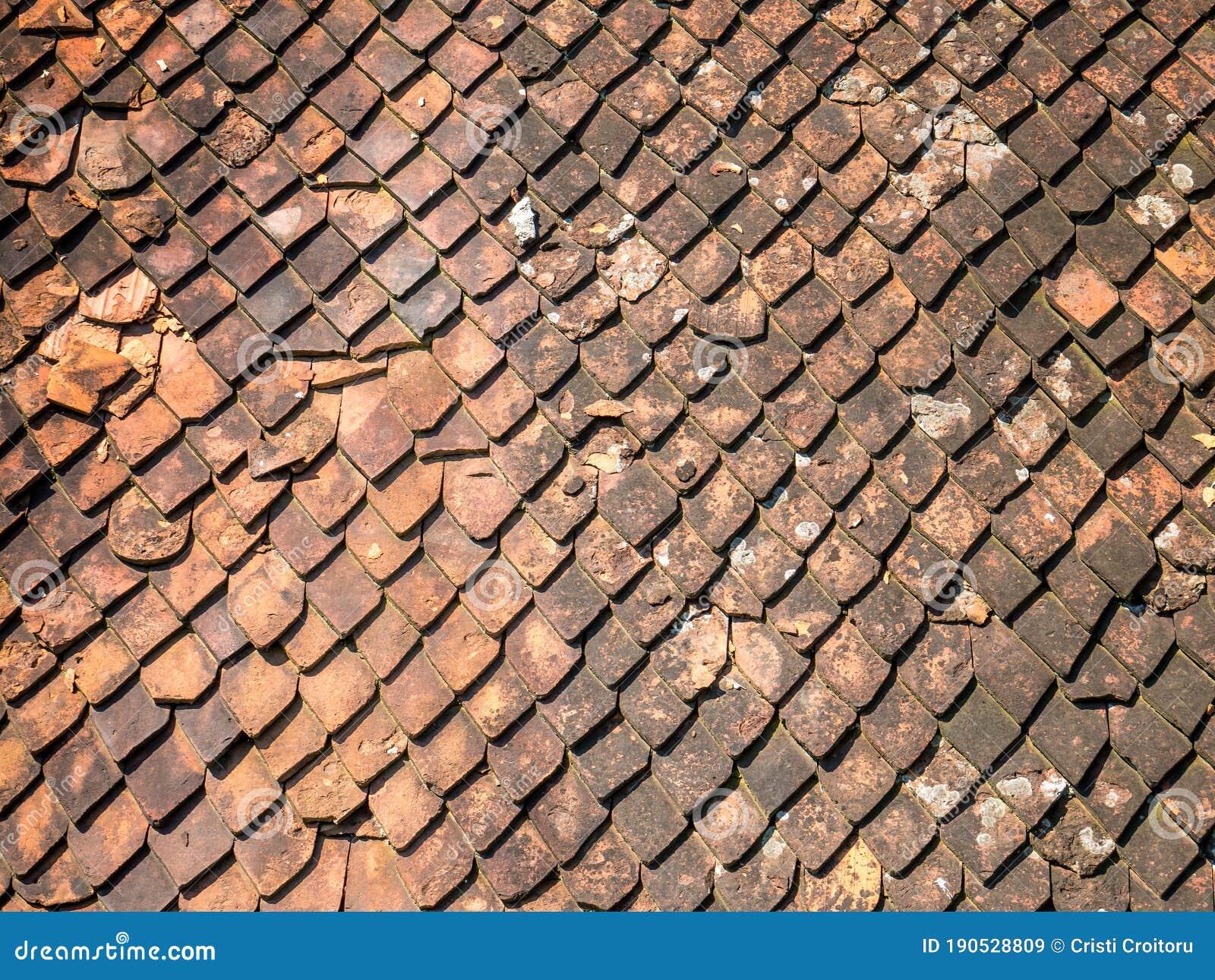 Old Medieval Roof with Red Stone Tiles, in Brasov Romania Stock Image