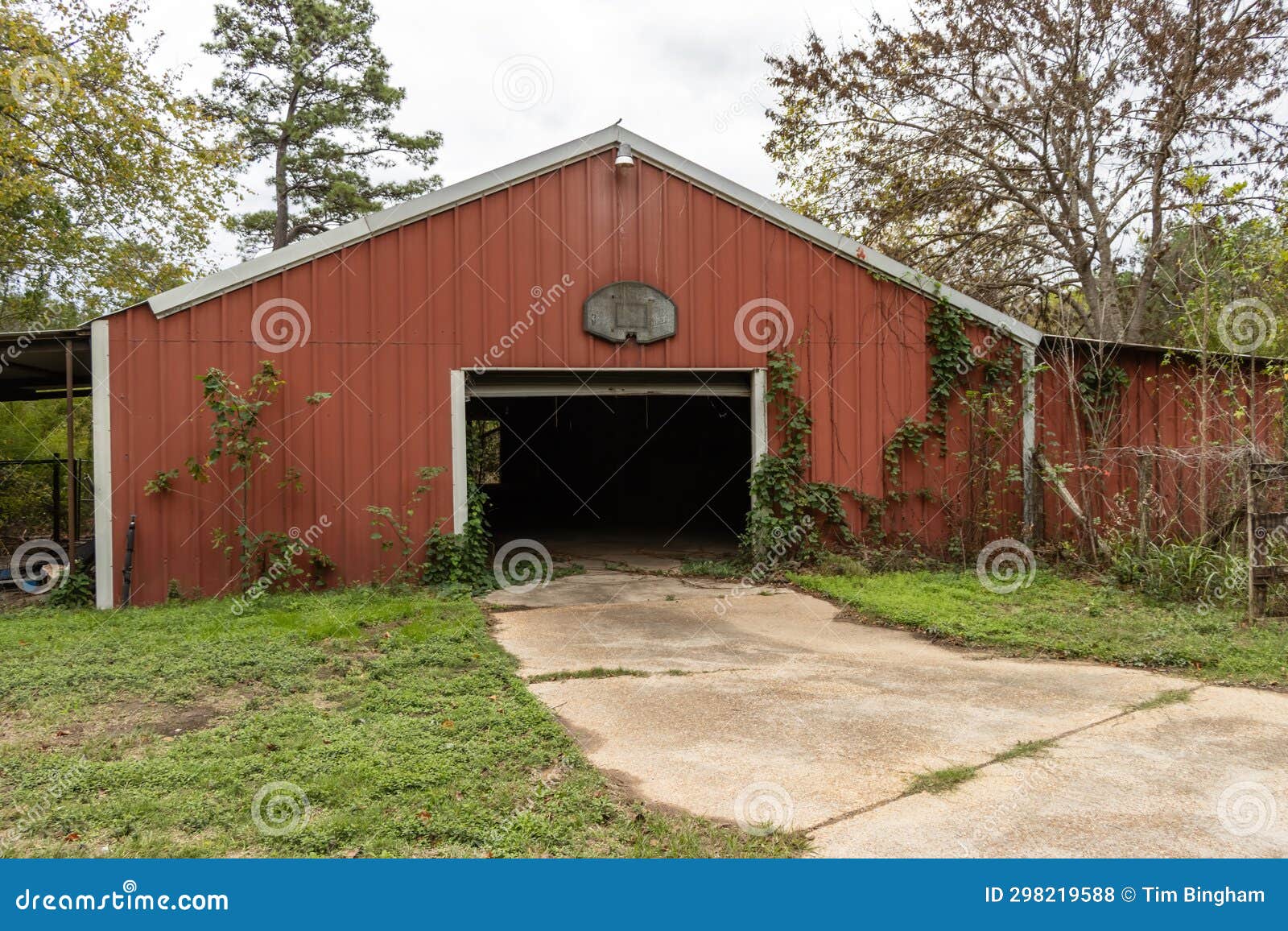 Old Metal Barn Covered in Vines Stock Photo Image of building, open