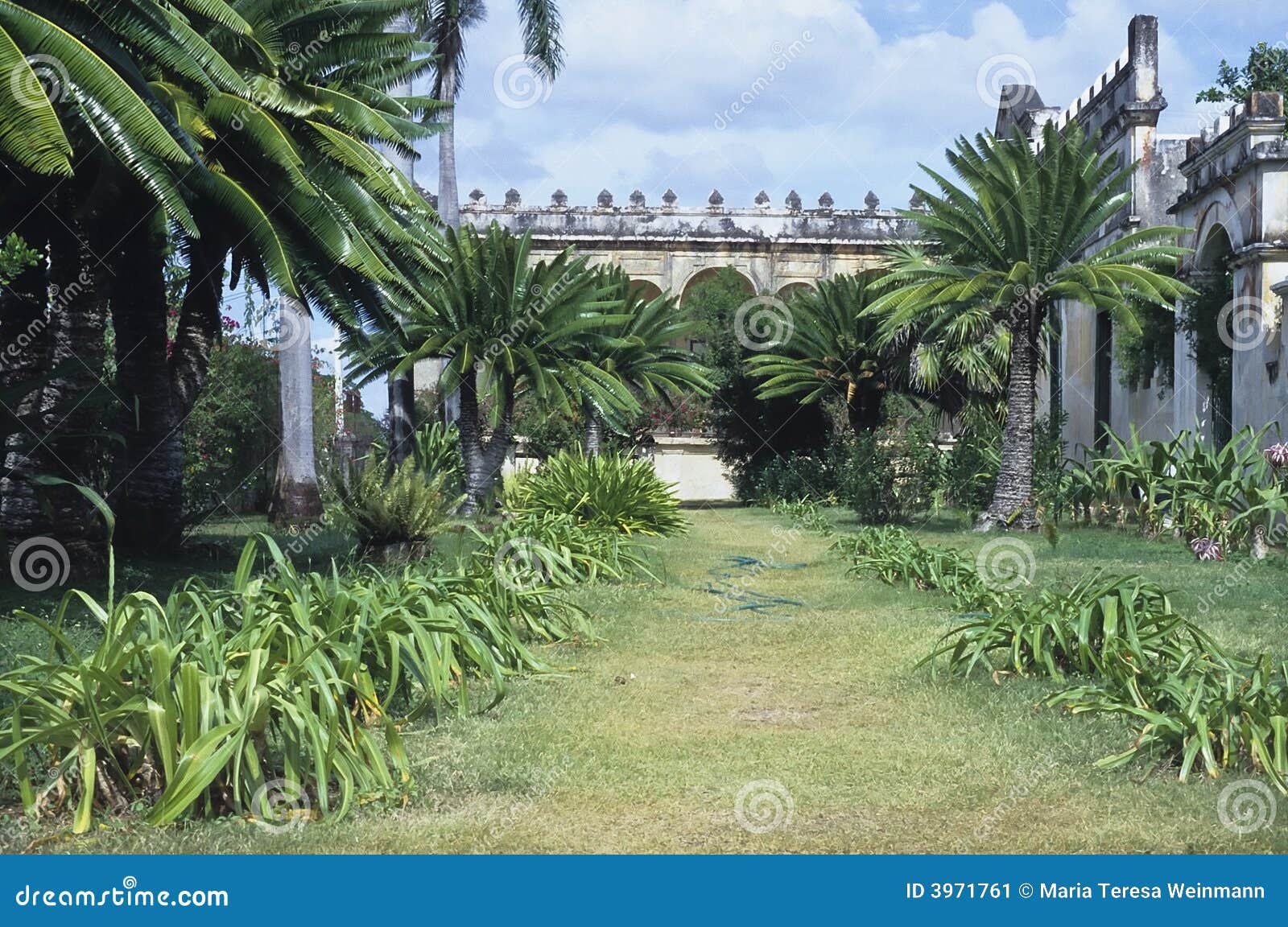 old mexican hacienda