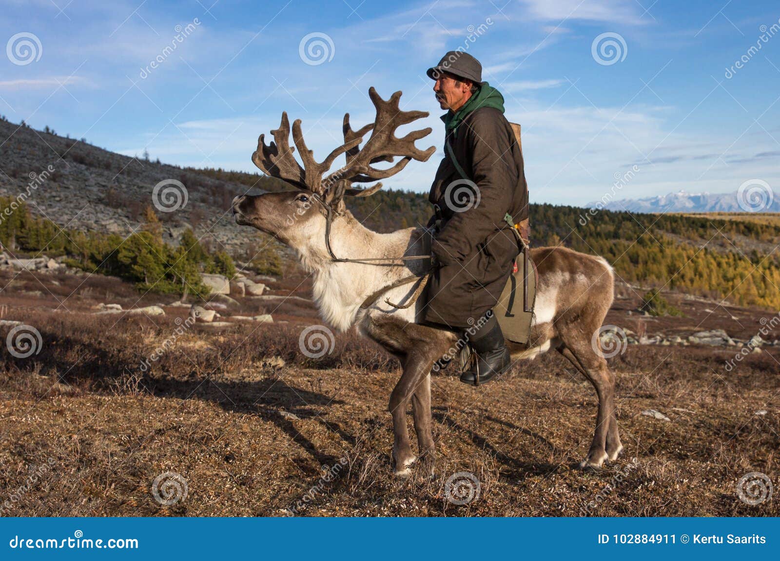 old mongolian man riding a reindeer.