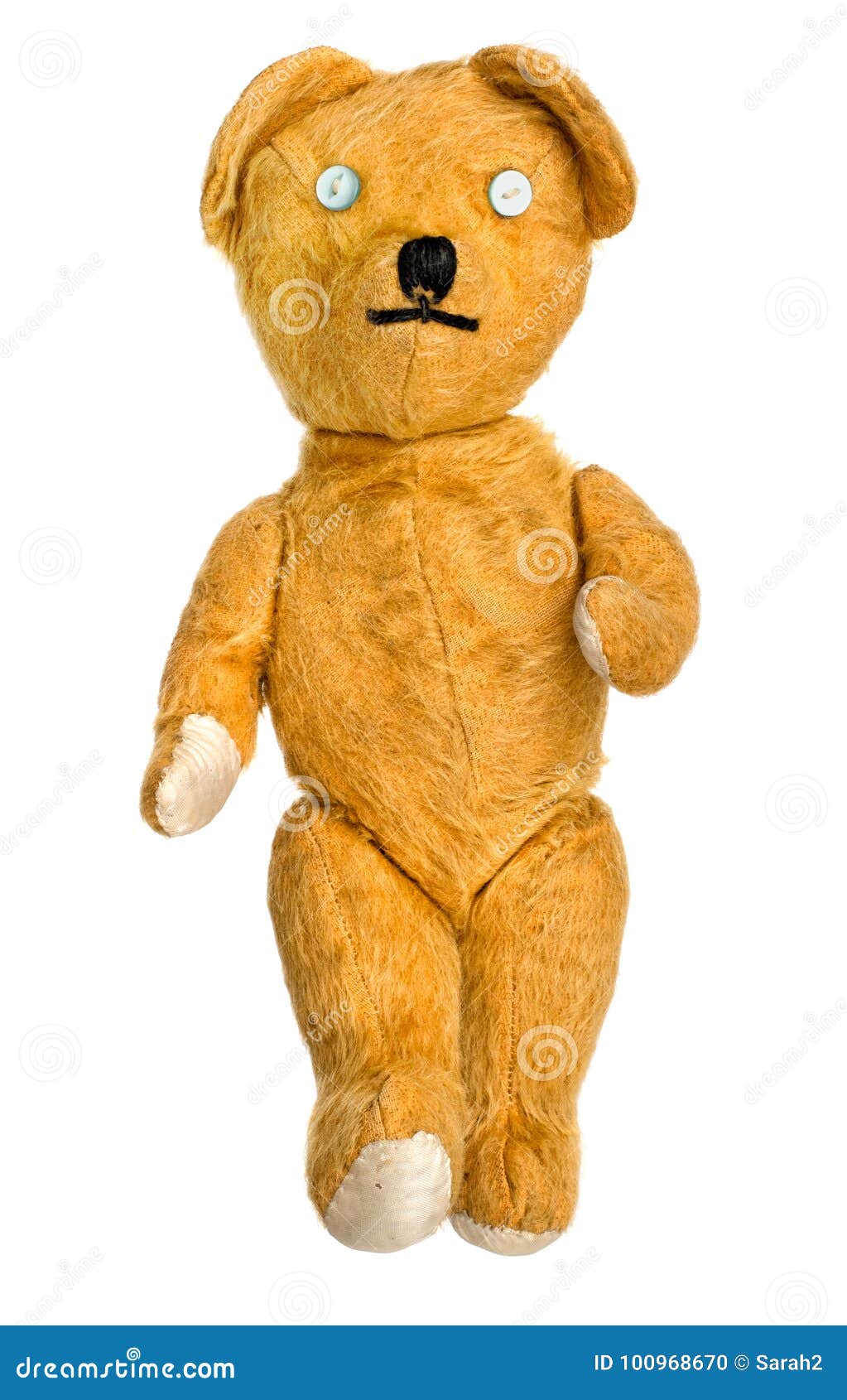 bear with button eyes