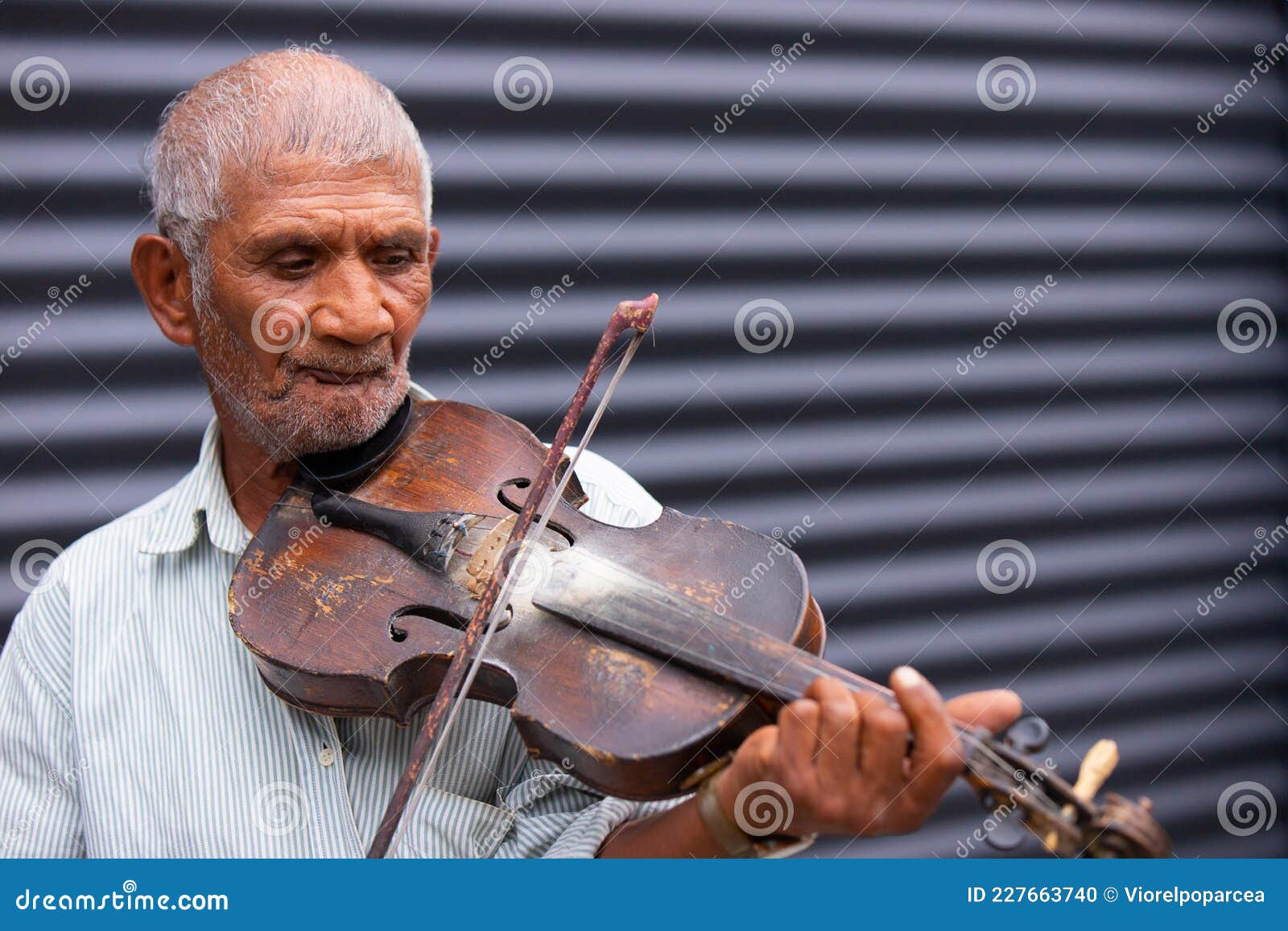 Fiddle hair outlet