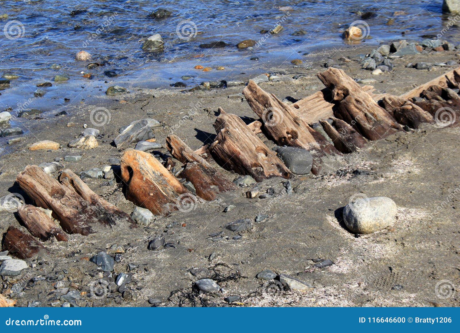 the mysterious island shipwrecked in the air the mysterious island shipwrecked in the air