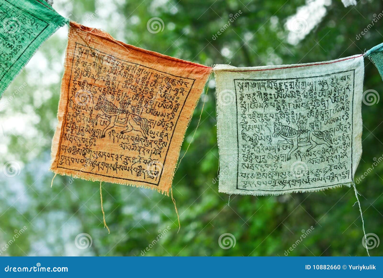 Old mystic signs stock photo. Image of thicket, unknown 10882660