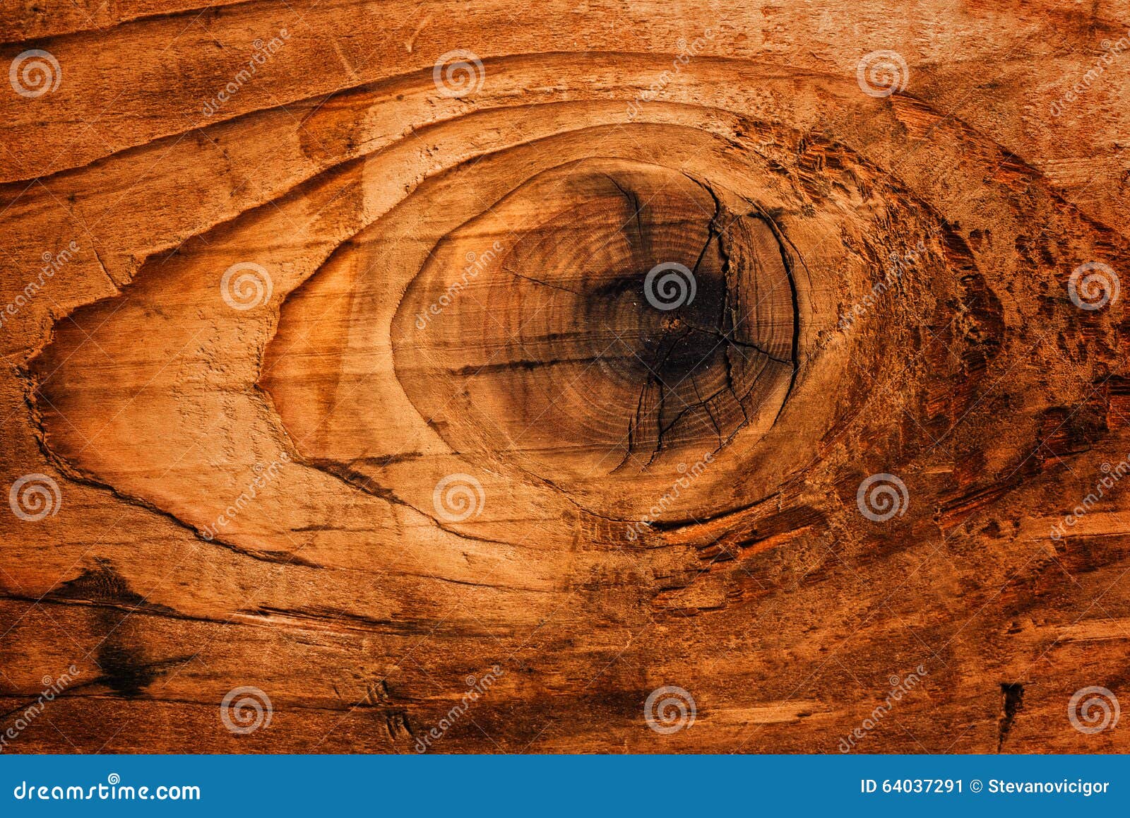 Old oak board wood knot stock image. Image of wood, natural 64037291