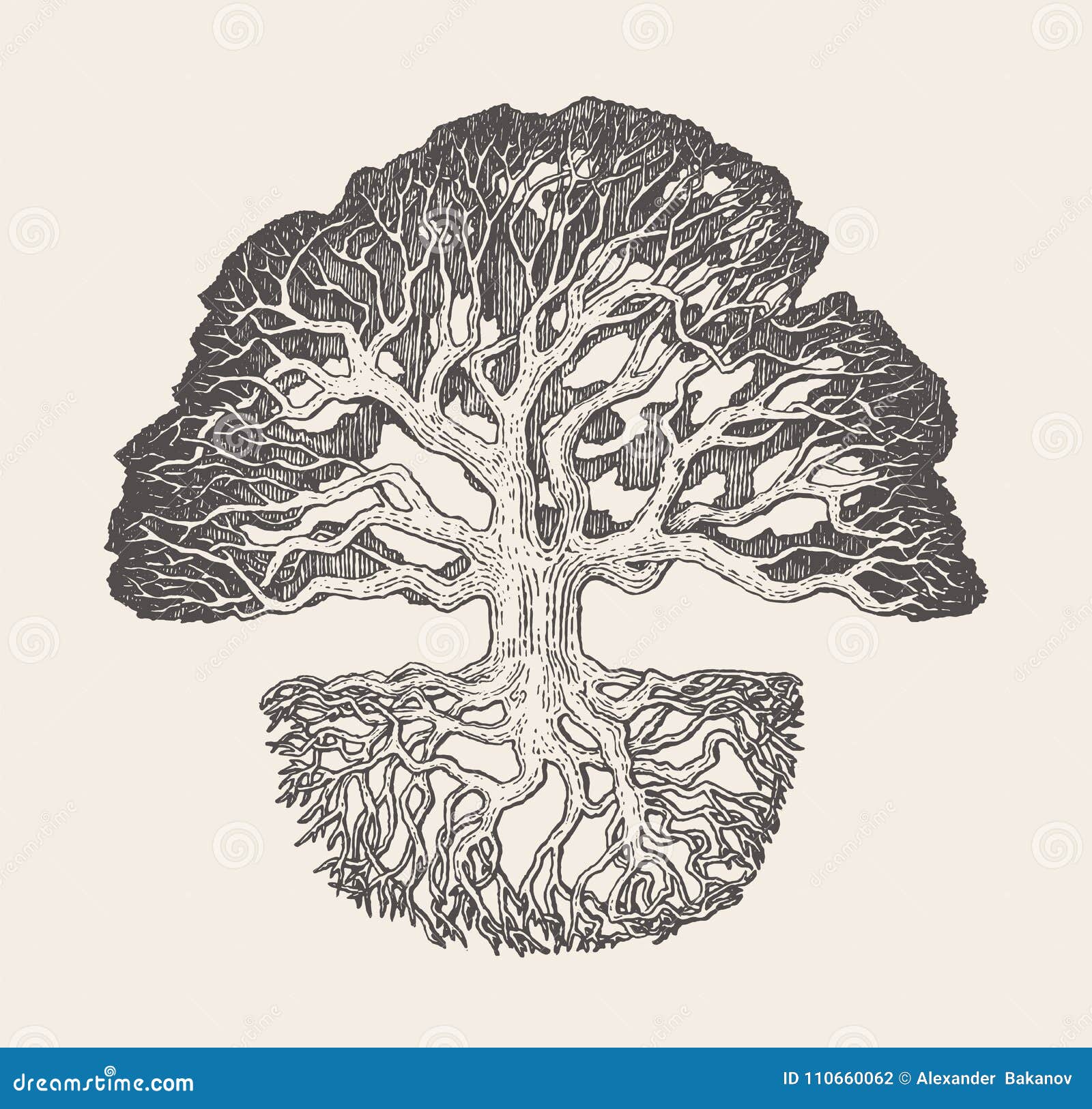 Old Oak Tree Root System Drawn Vector Illustration Stock Vector