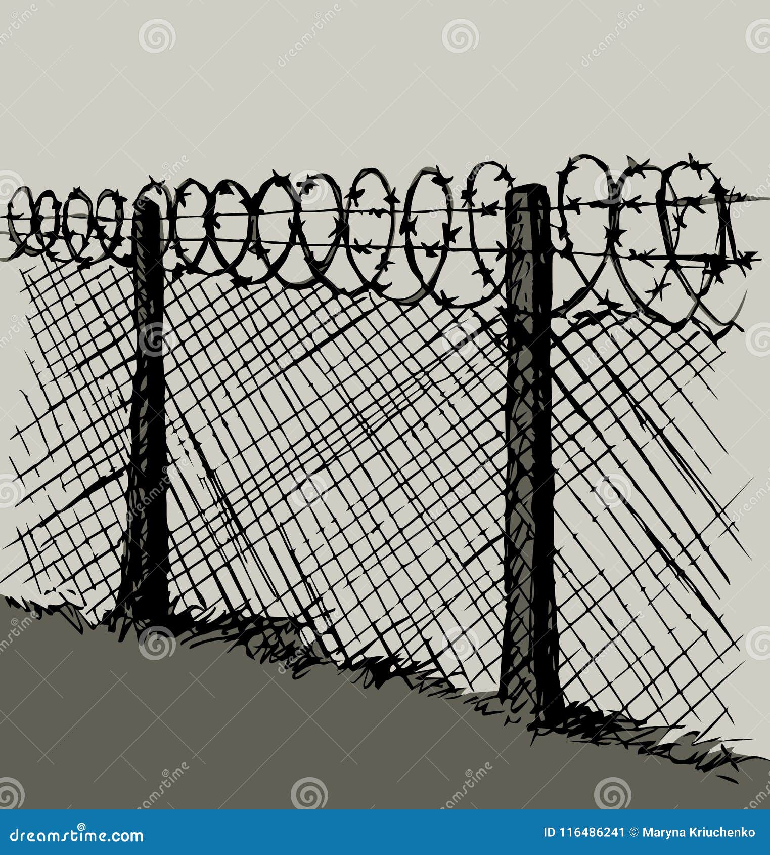 Barbed Wire Vector Drawing Stock Vector Illustration Of Drawing Forbidden 116486241